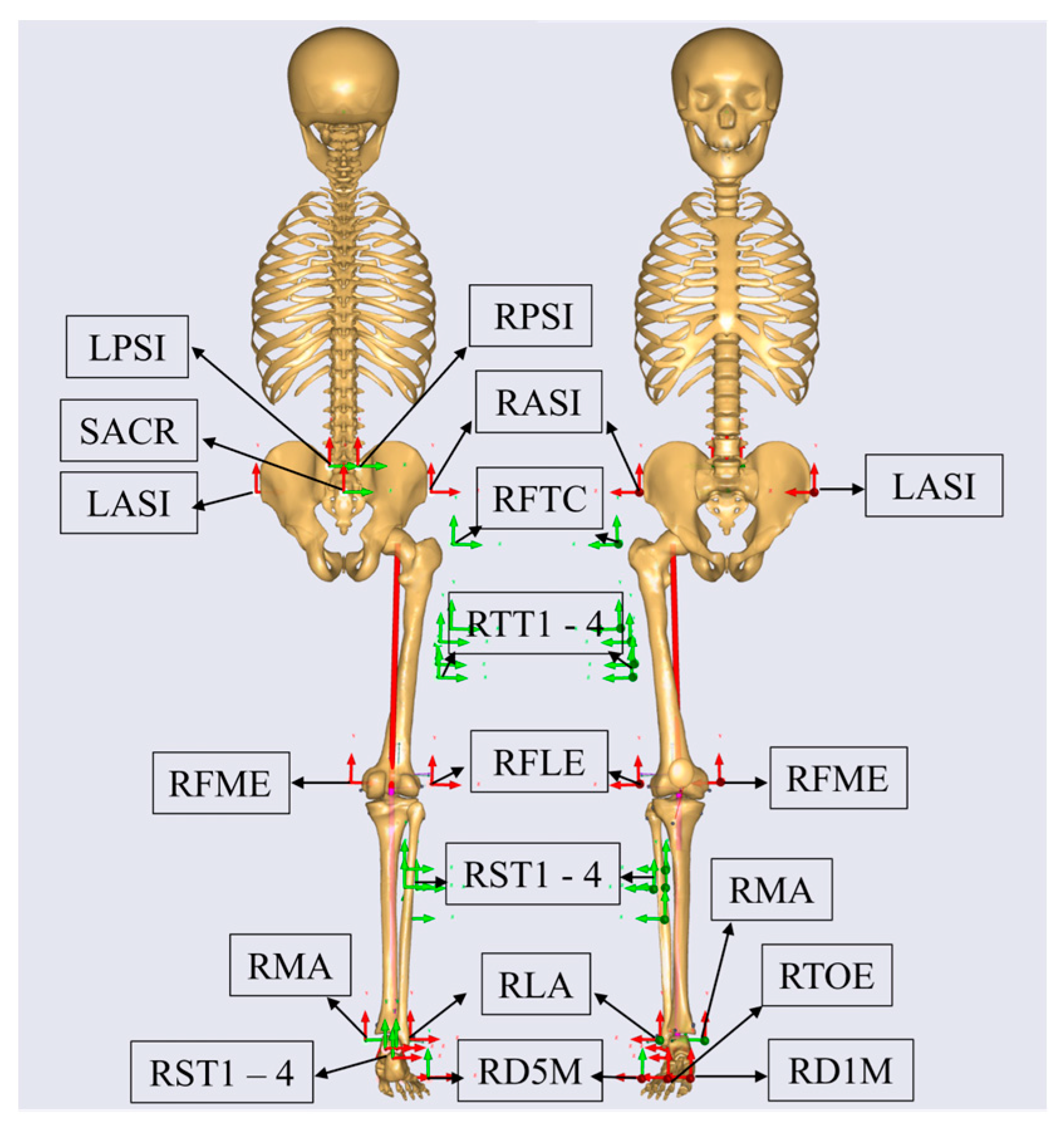 Bioengineering 11 00667 g002