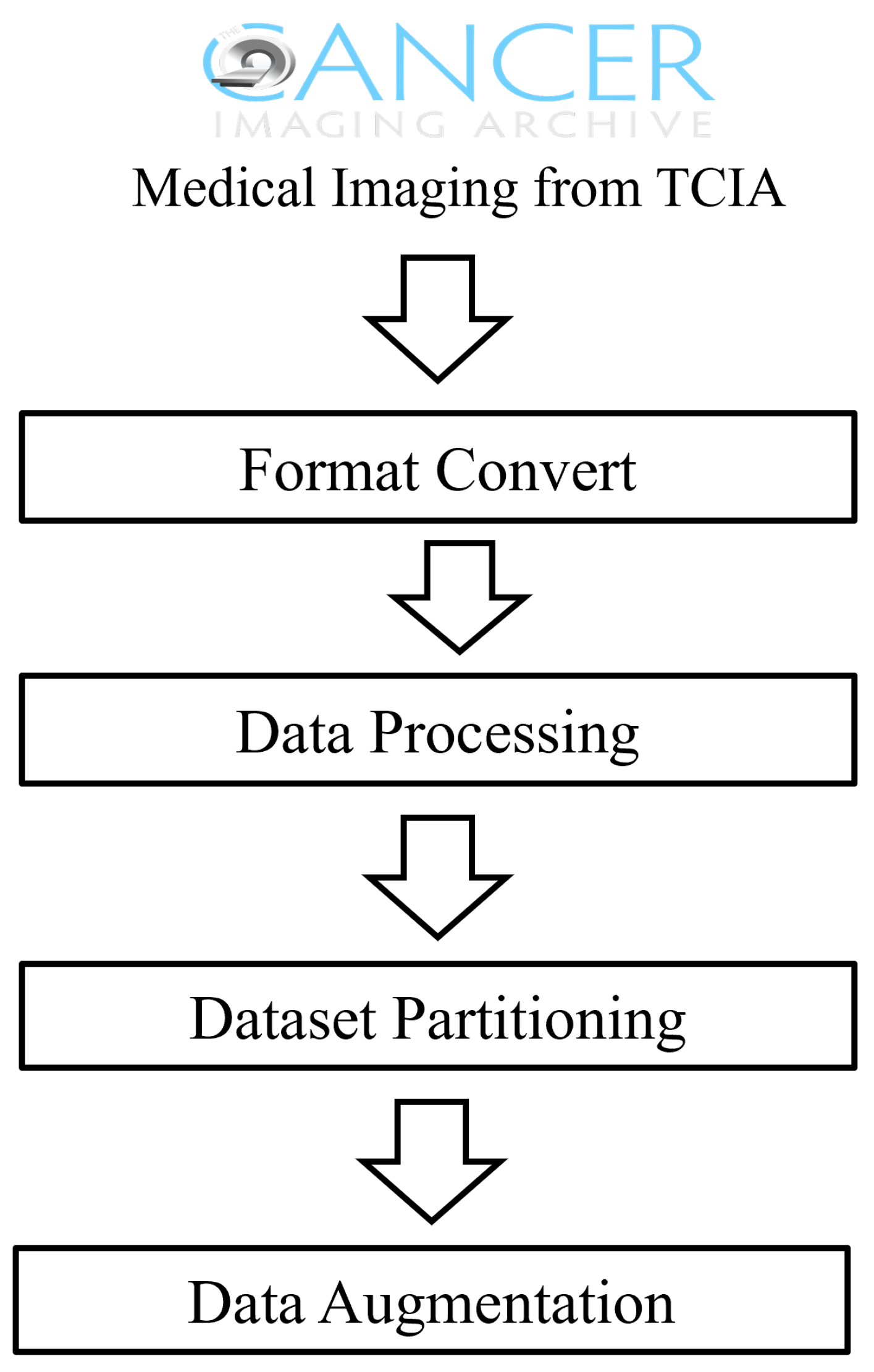 Bioengineering 11 00673 g001