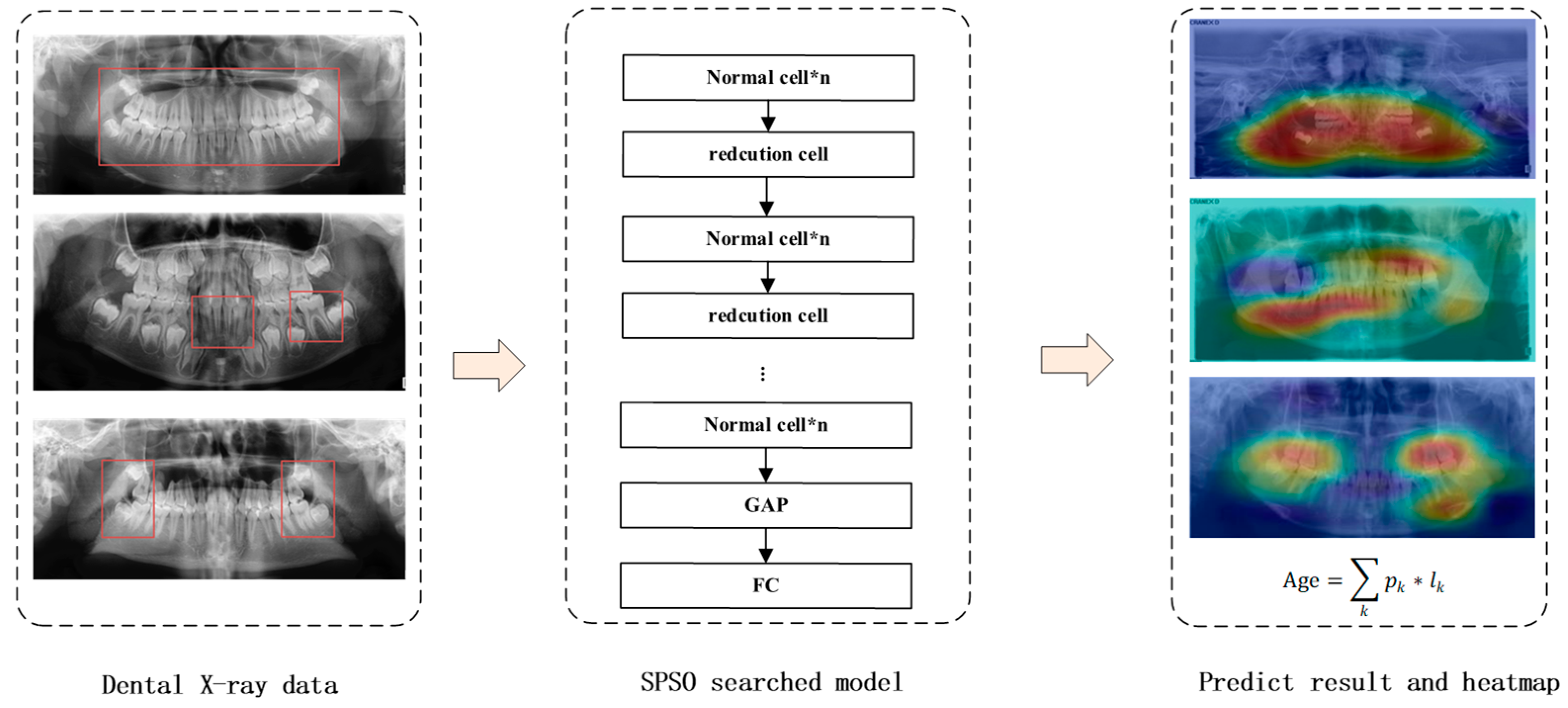 Bioengineering 11 00674 g002