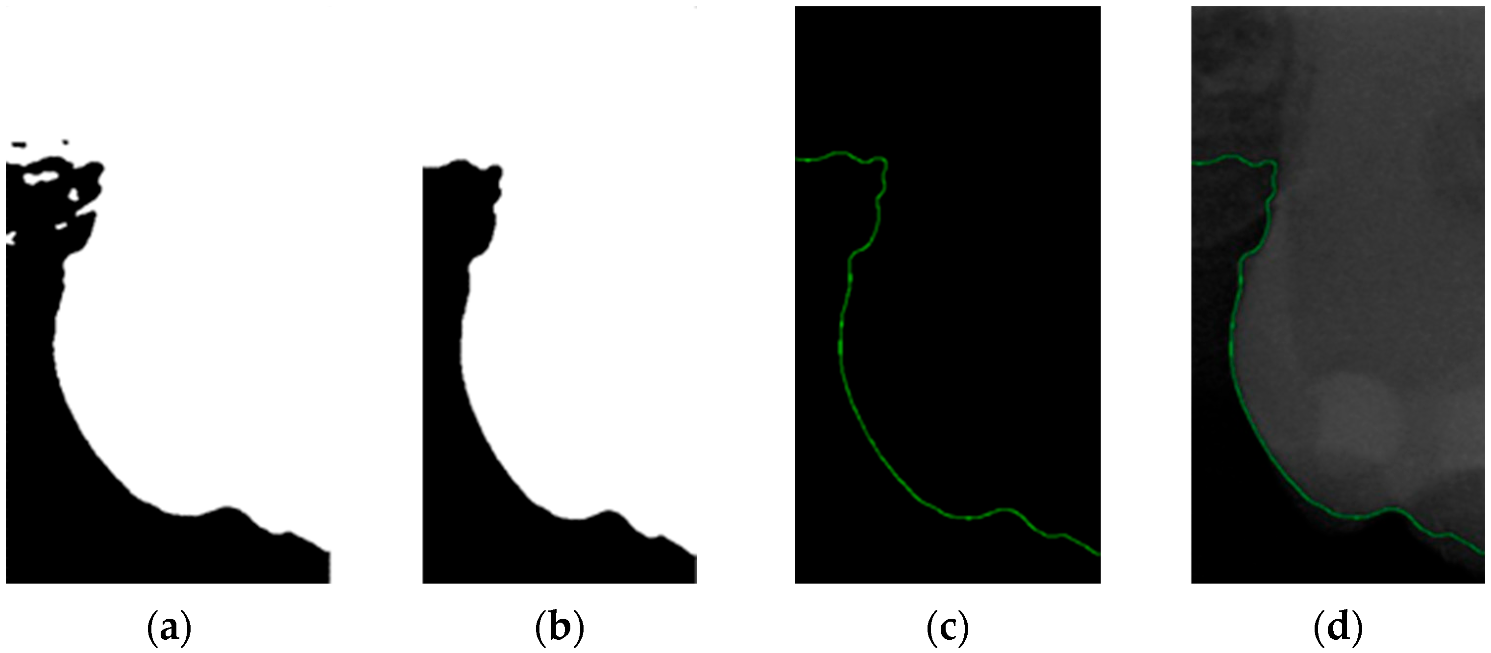 Bioengineering 11 00675 g008