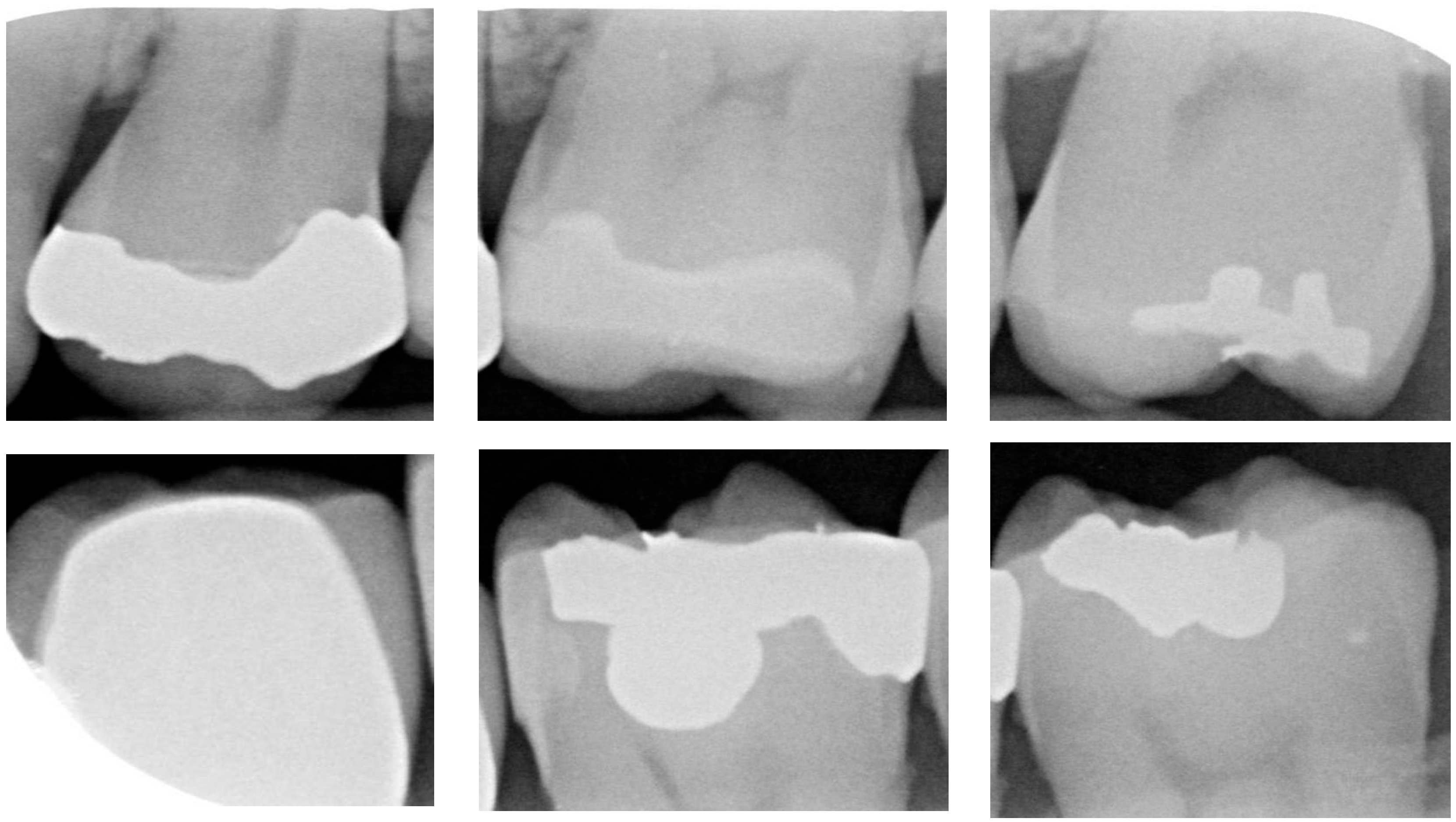 Bioengineering 11 00675 g011