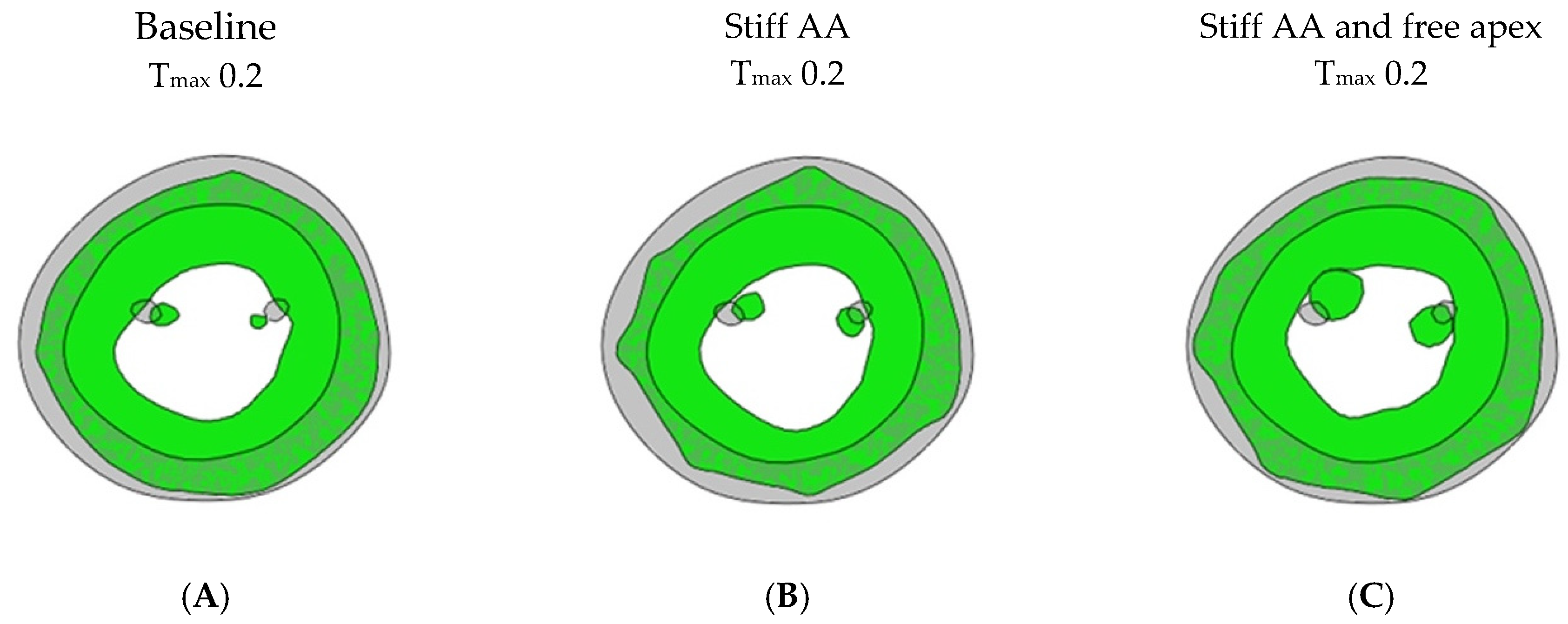 Bioengineering 11 00676 g005
