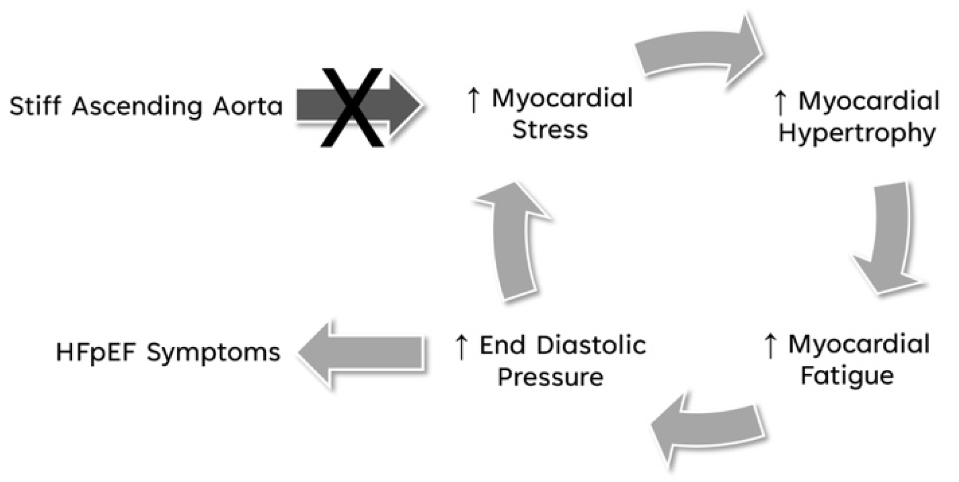 Bioengineering 11 00676 g006