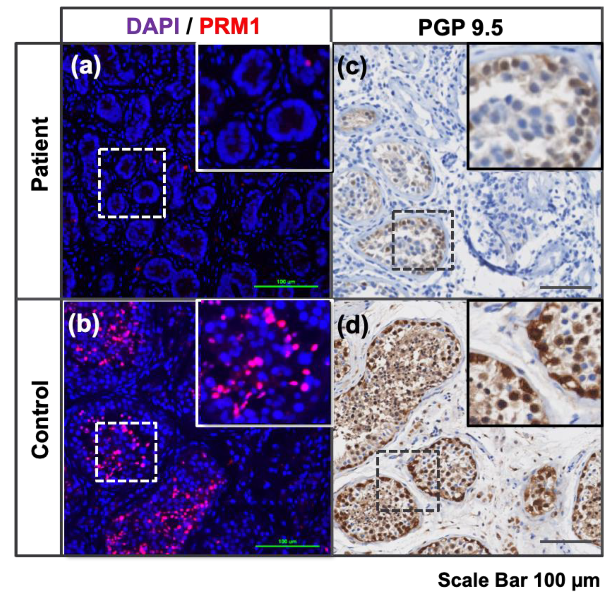 Bioengineering 11 00677 g002