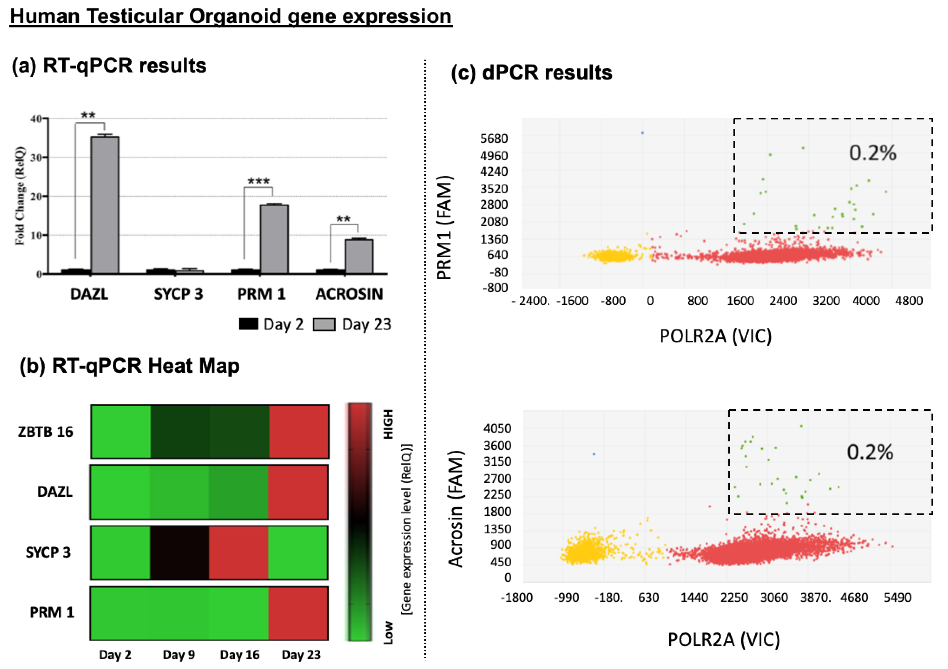 Bioengineering 11 00677 g009