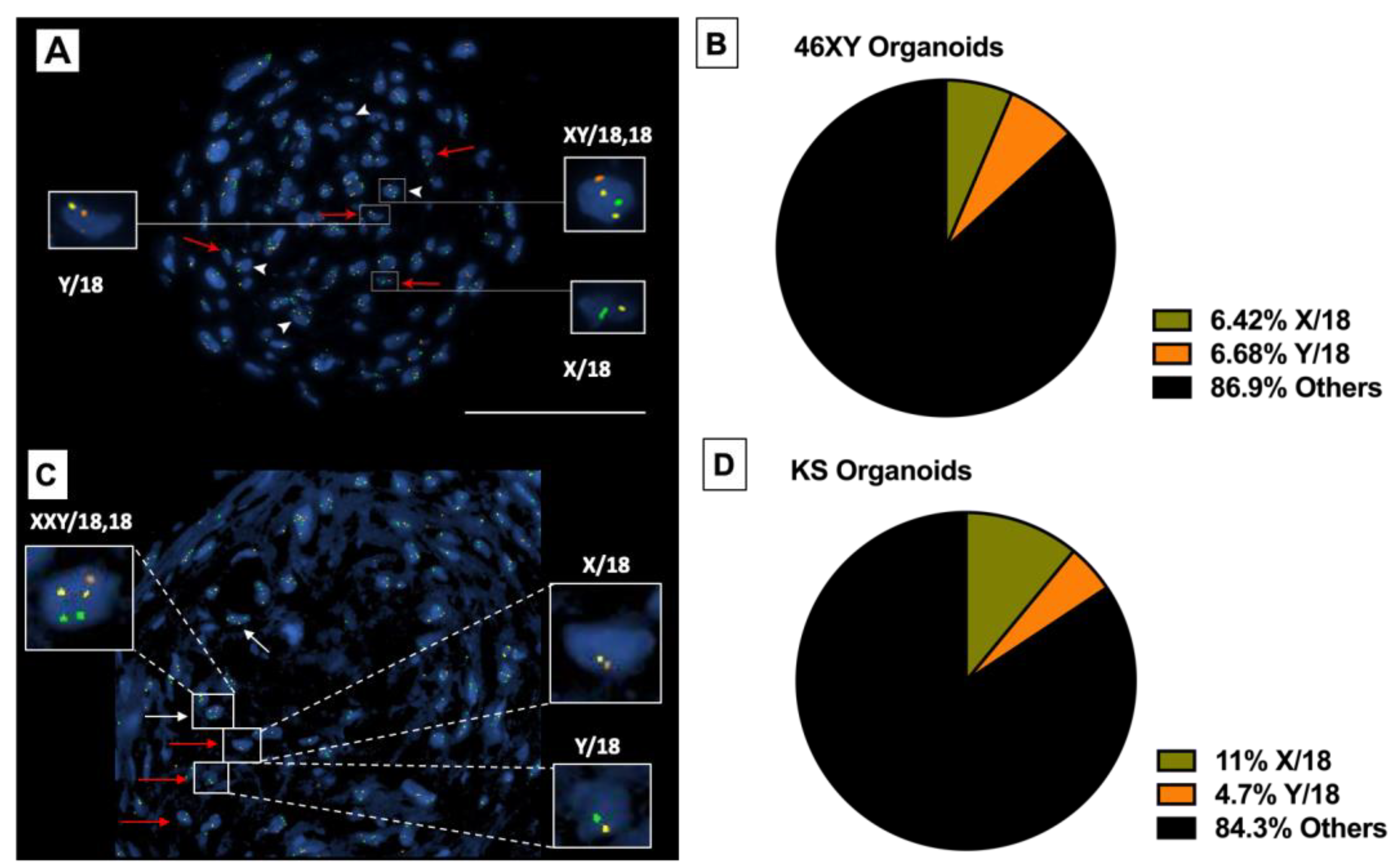 Bioengineering 11 00677 g010