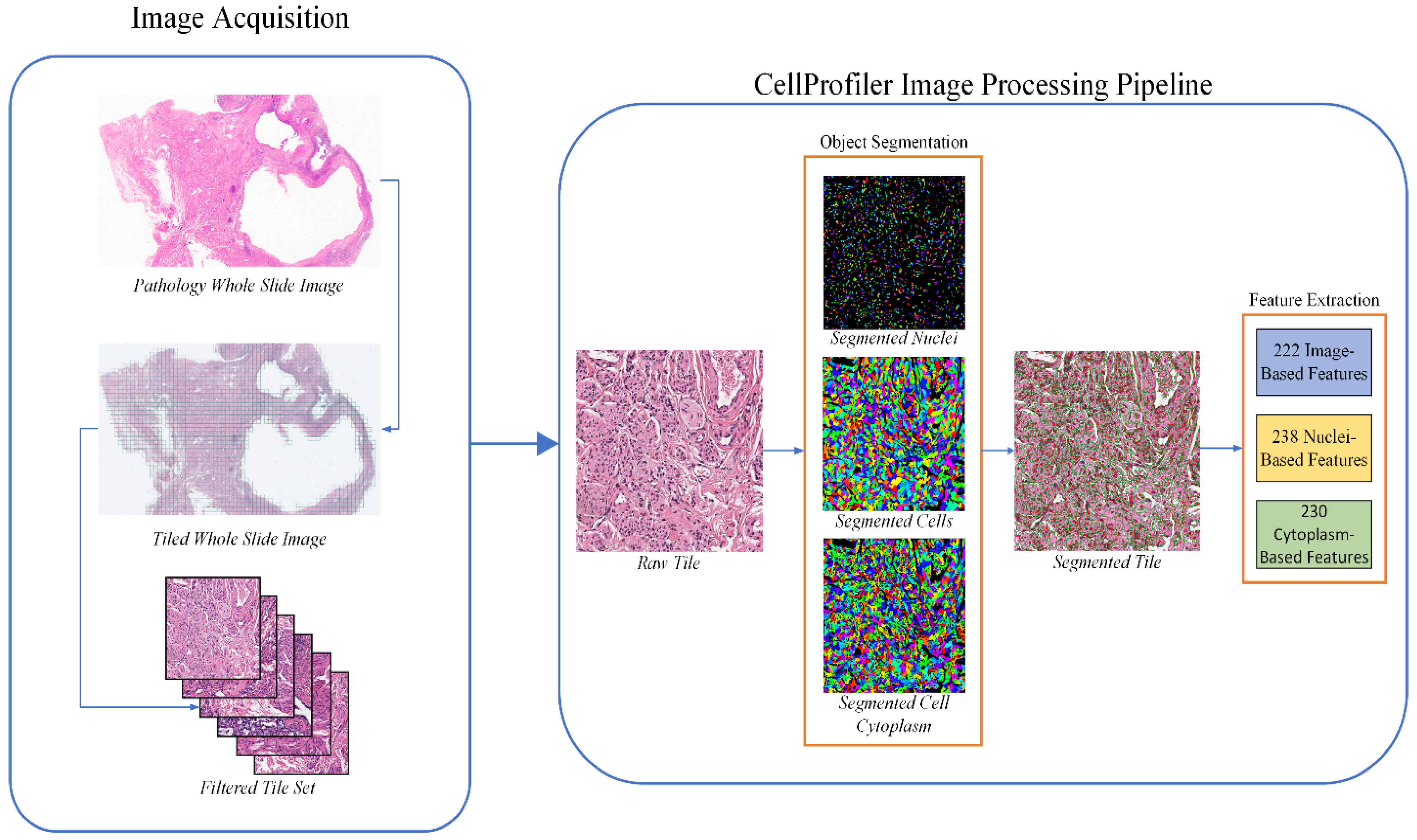 Bioengineering 11 00678 g001