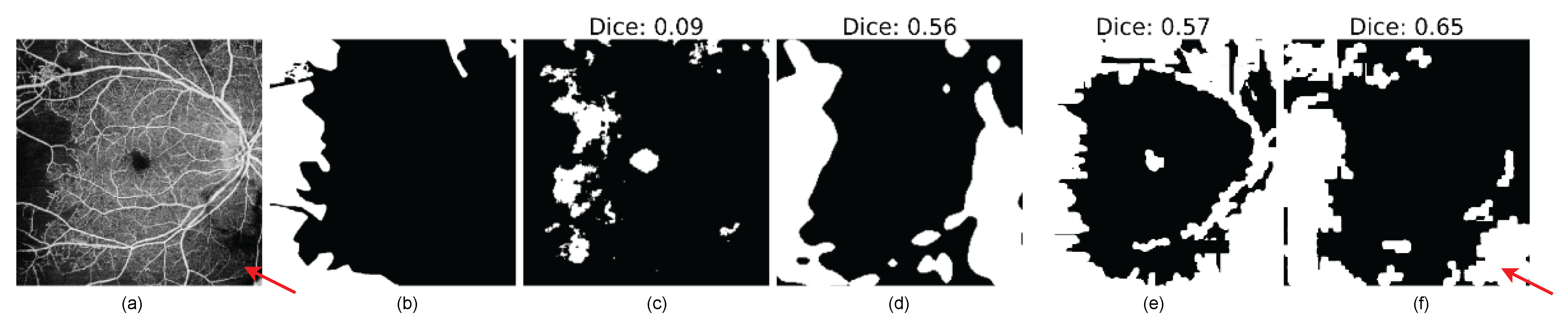 Bioengineering 11 00682 g009