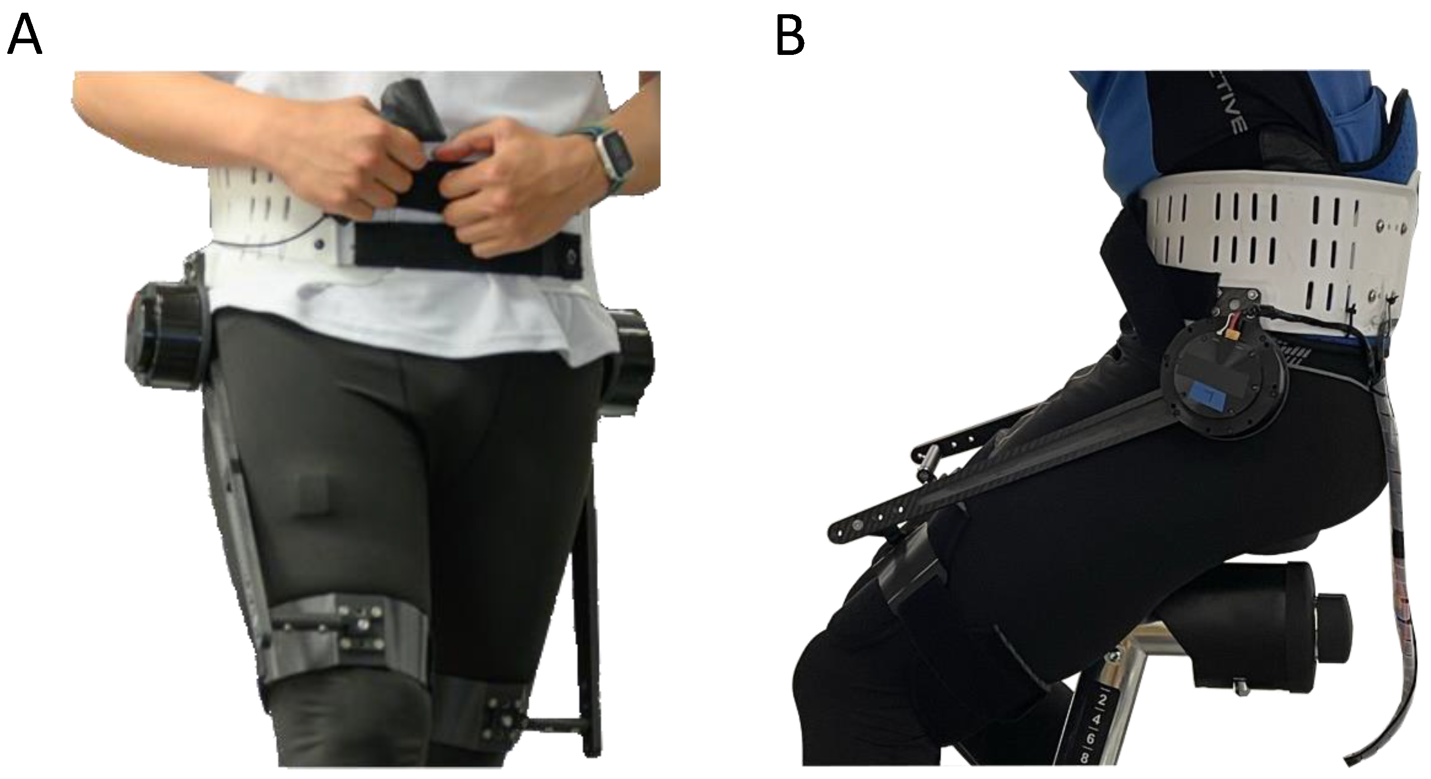 Bioengineering 11 00683 g002