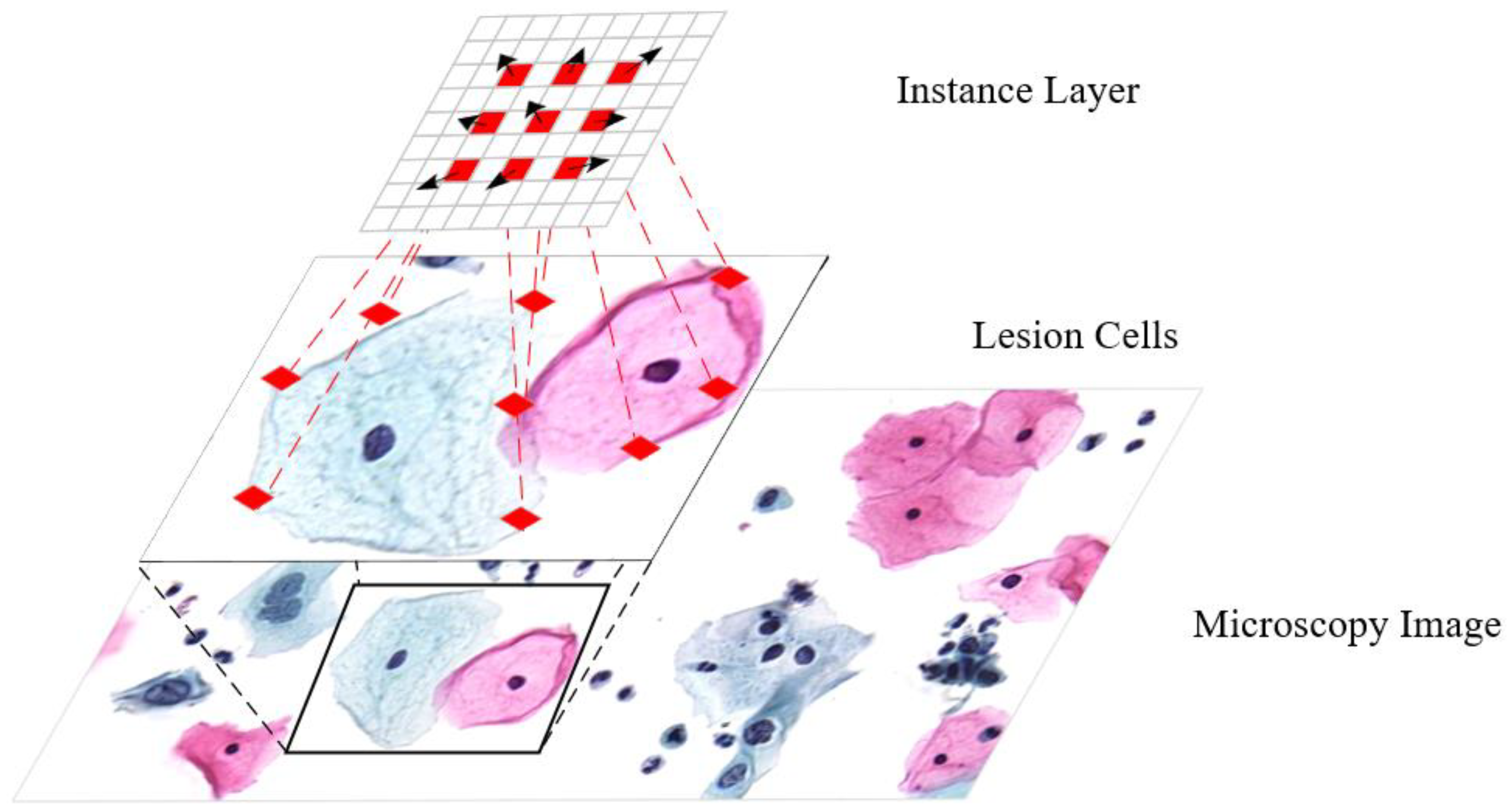 Bioengineering 11 00686 g001