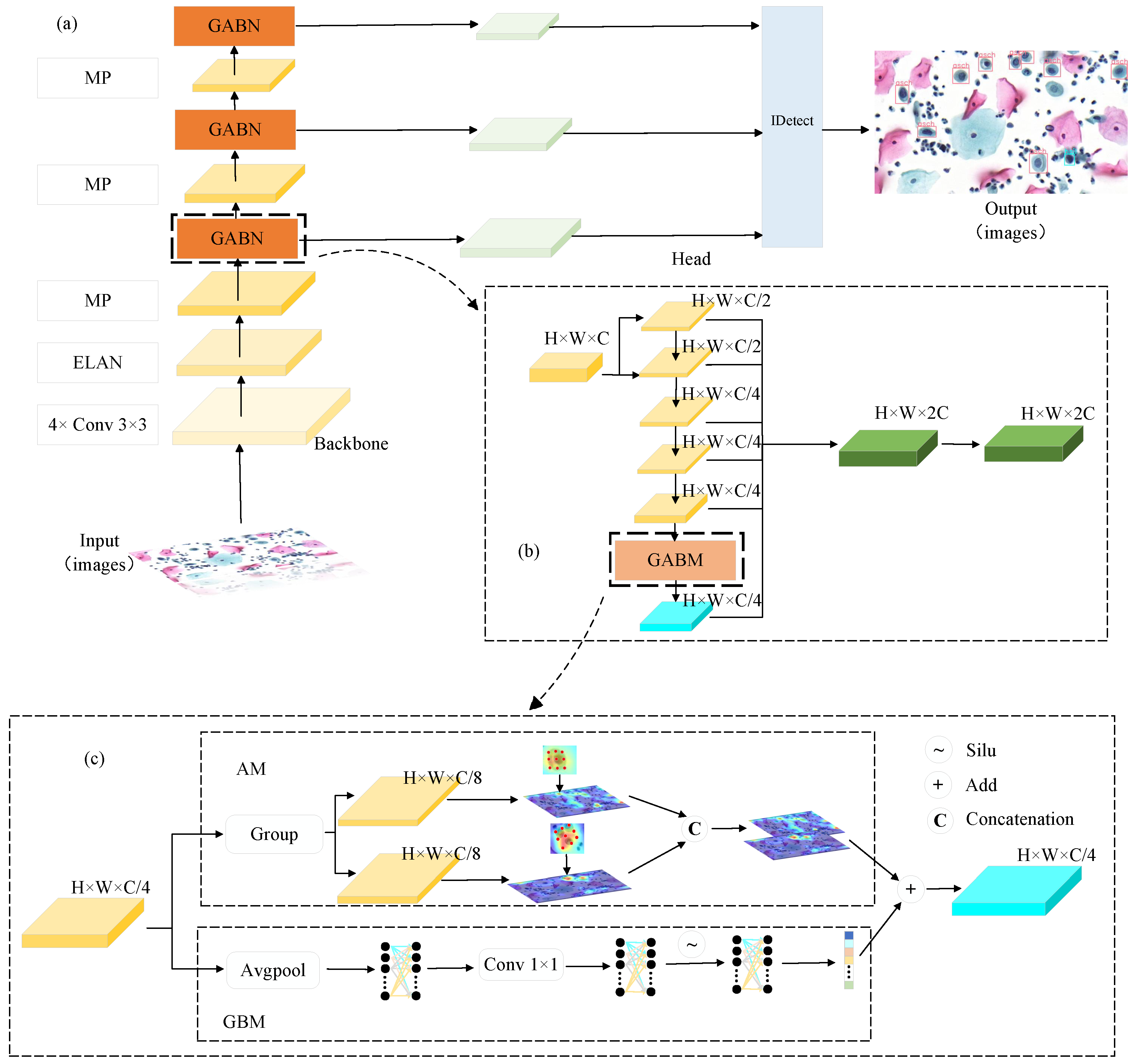 Bioengineering 11 00686 g002