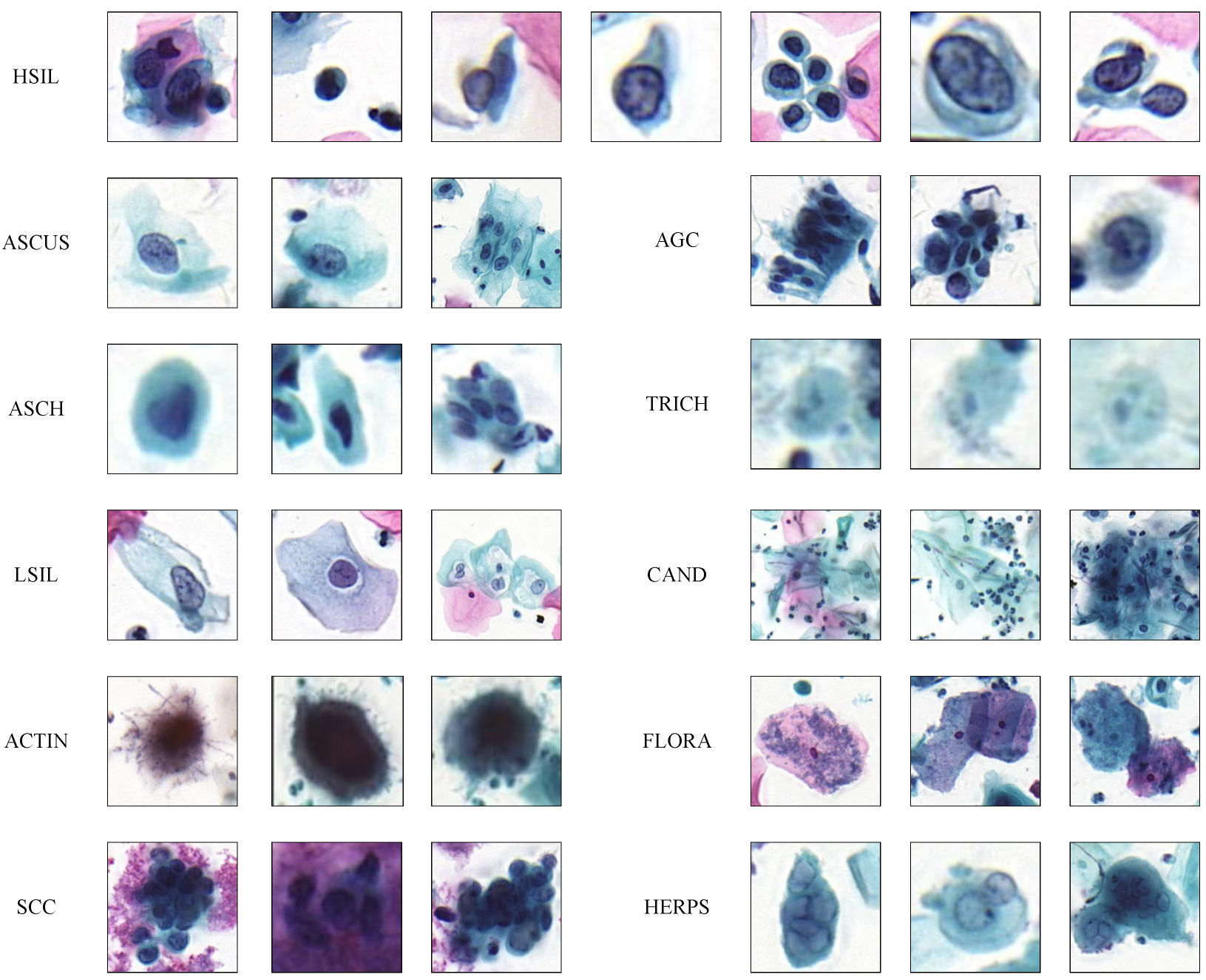 Bioengineering 11 00686 g004