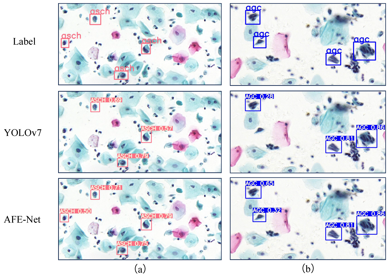 Bioengineering 11 00686 g005