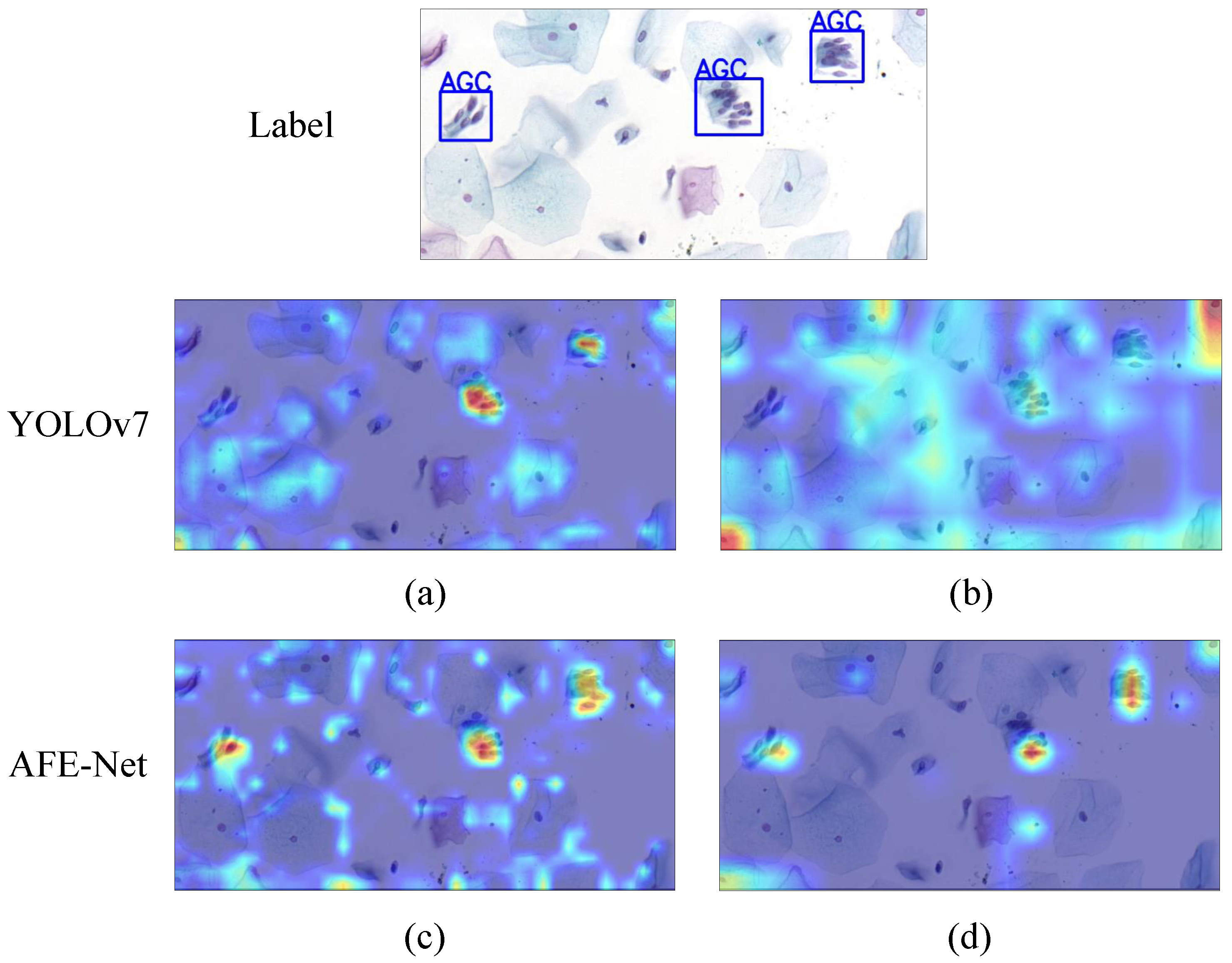 Bioengineering 11 00686 g006