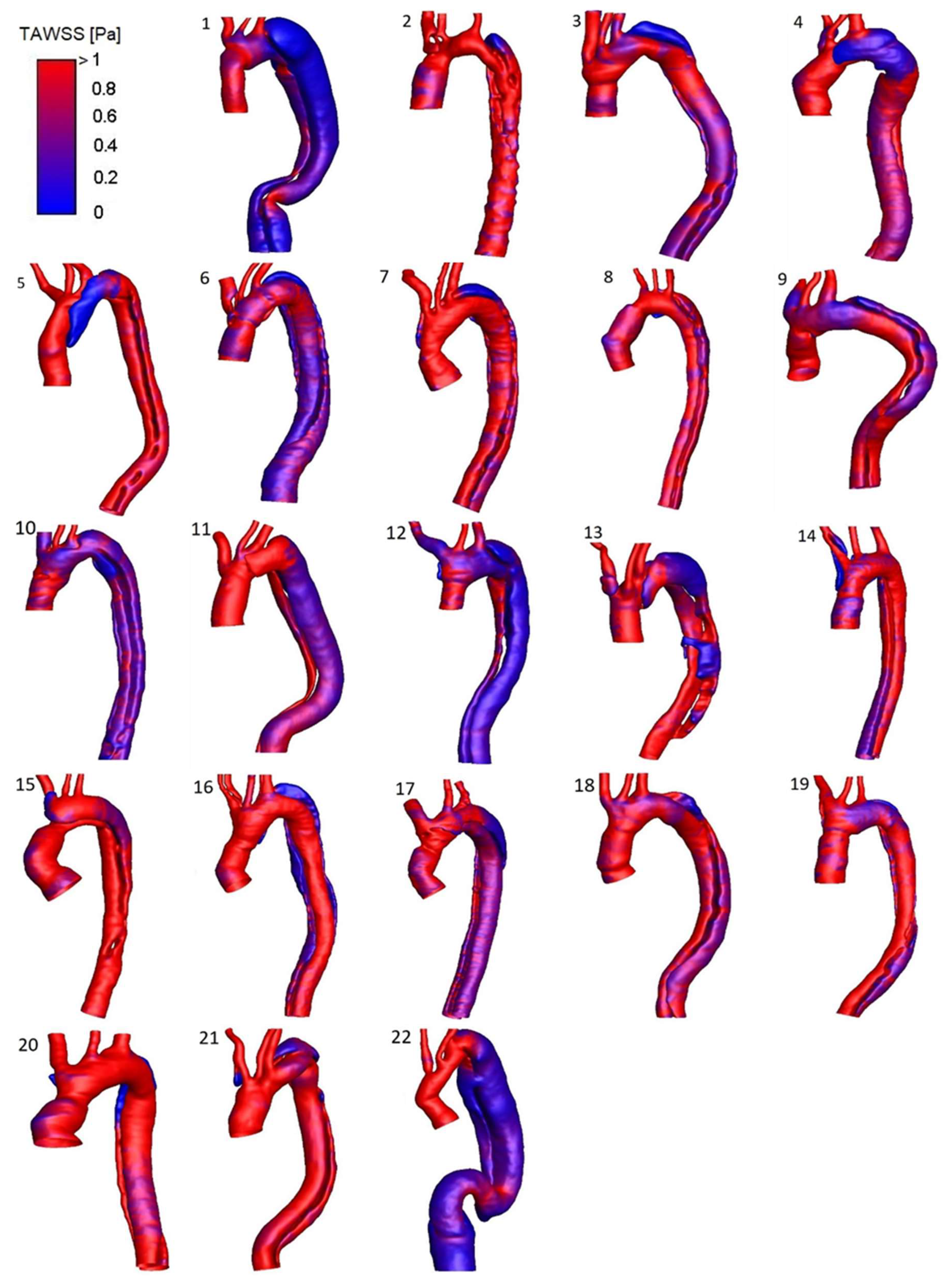 Bioengineering 11 00690 g005
