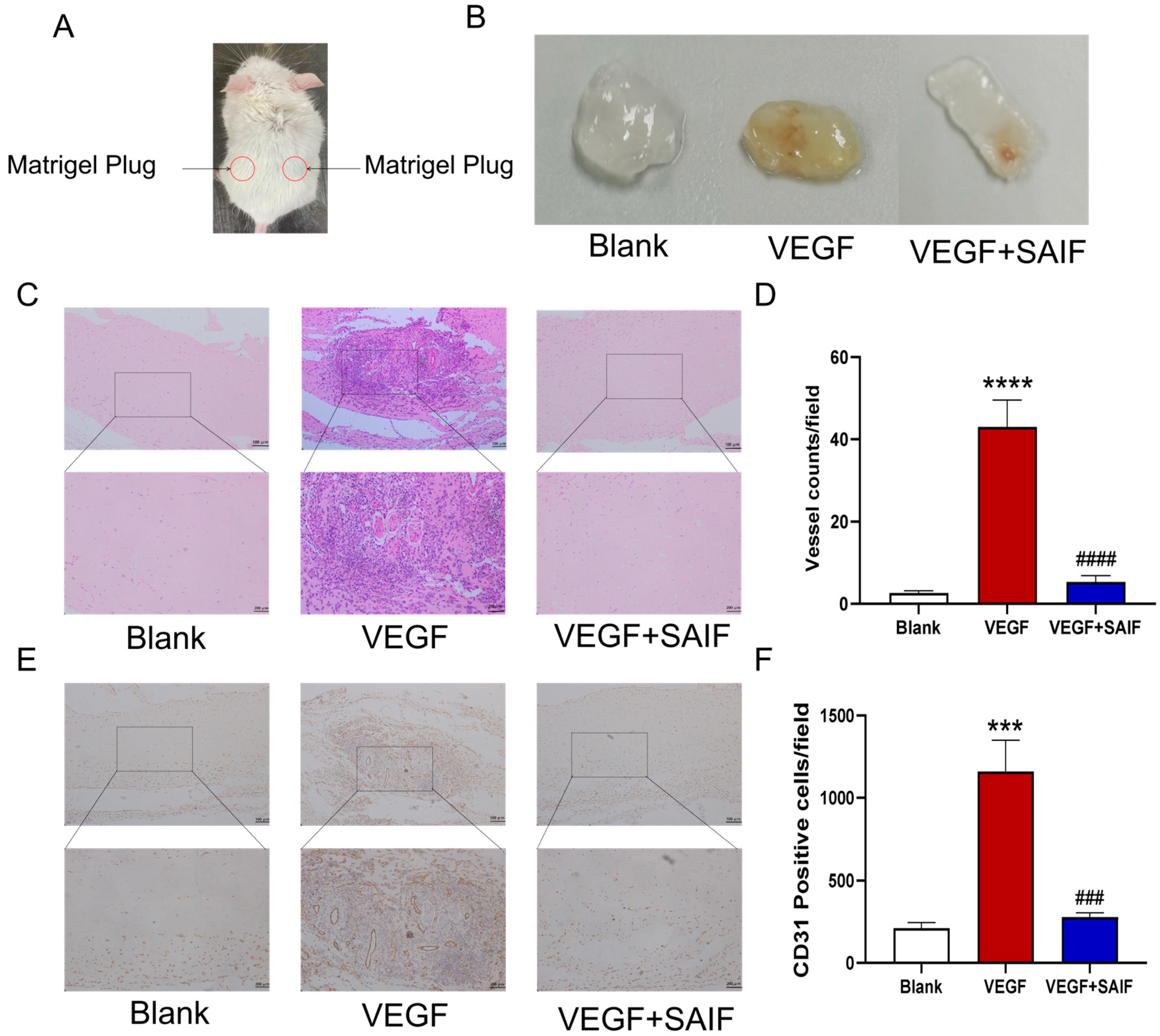 Bioengineering 11 00693 g003