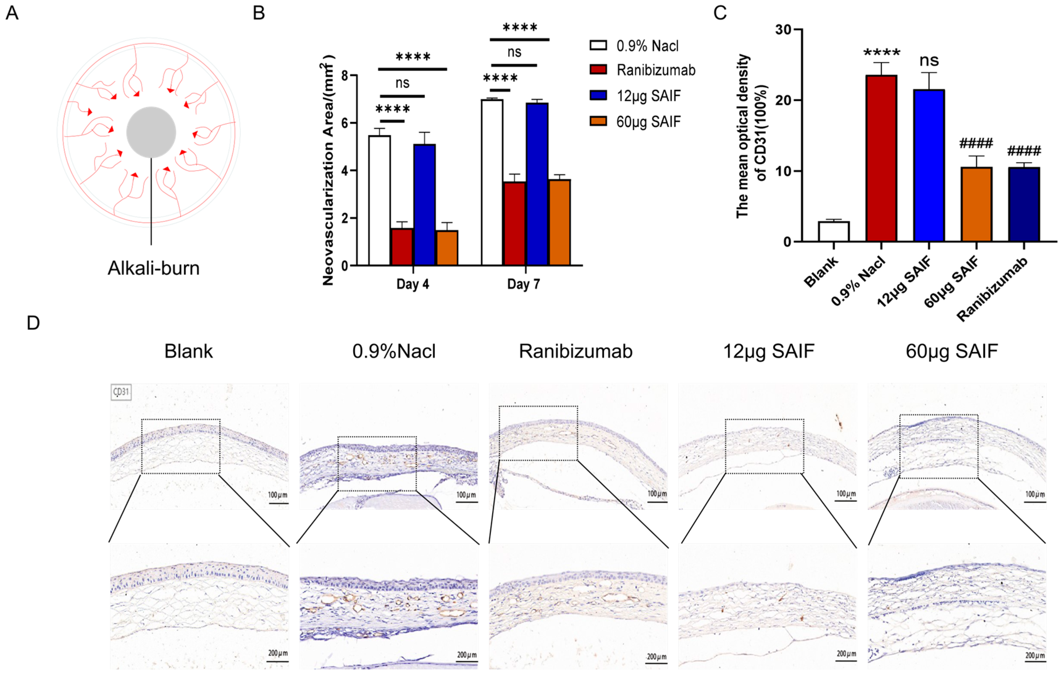 Bioengineering 11 00693 g004