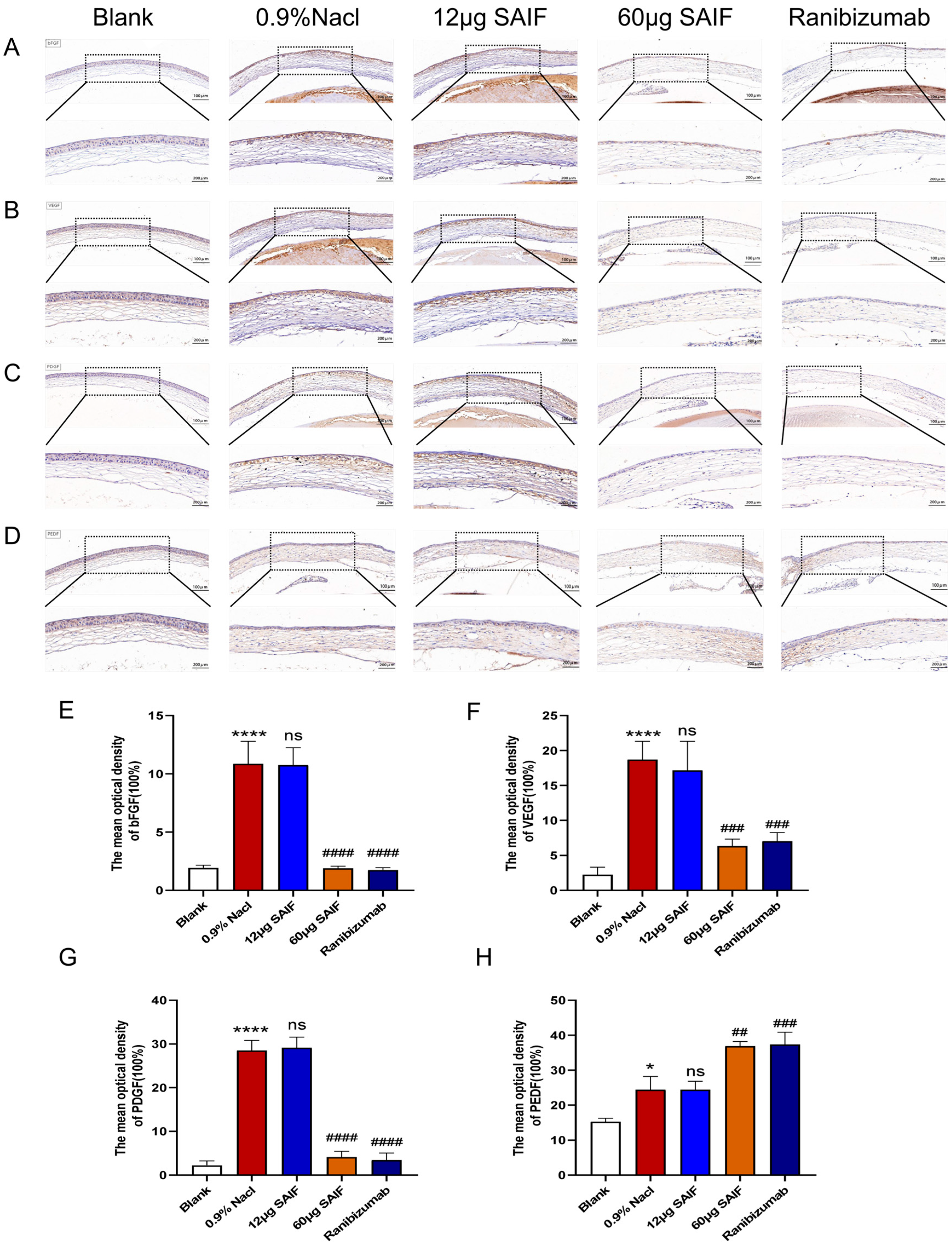 Bioengineering 11 00693 g006