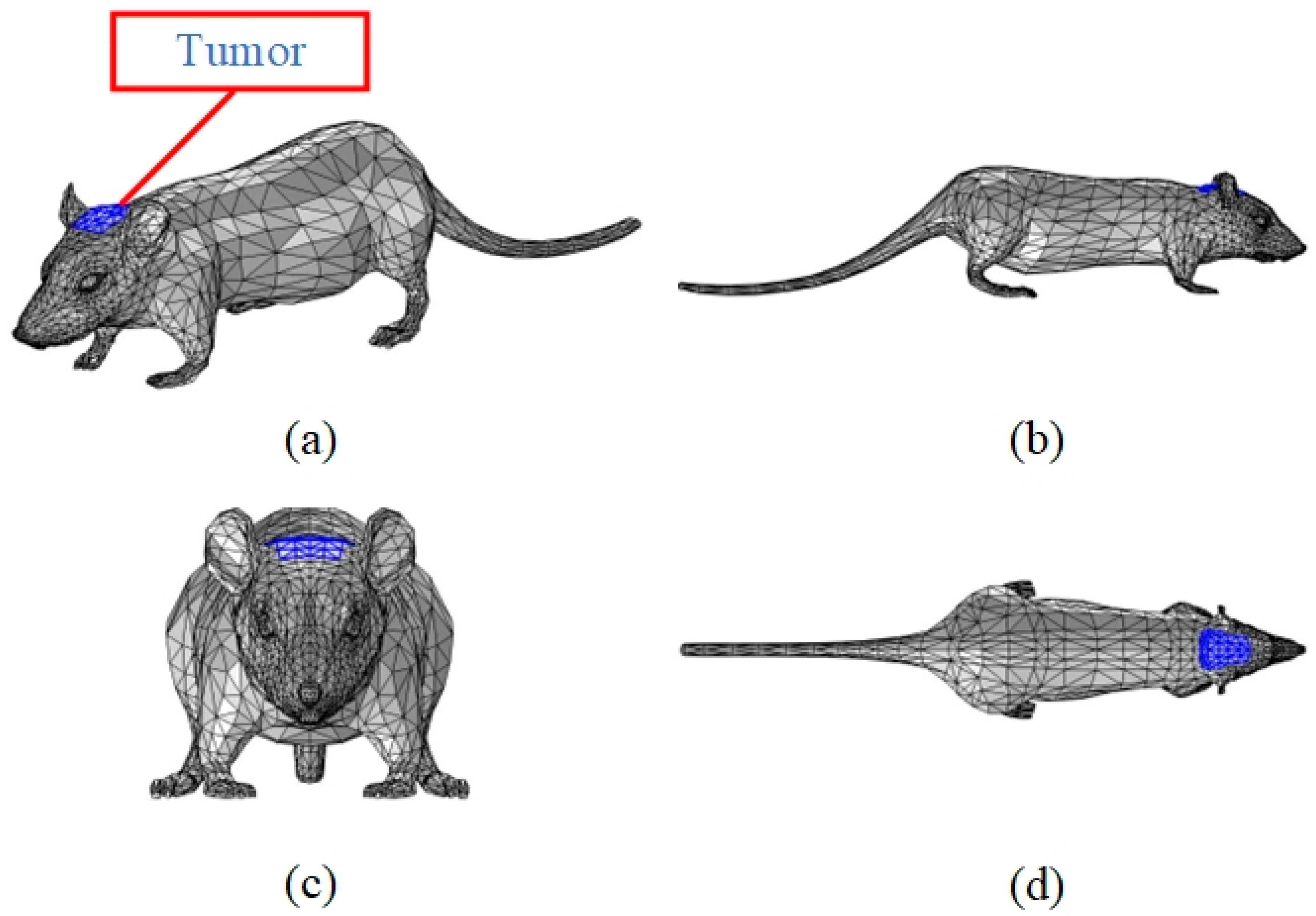 Bioengineering 11 00694 g001