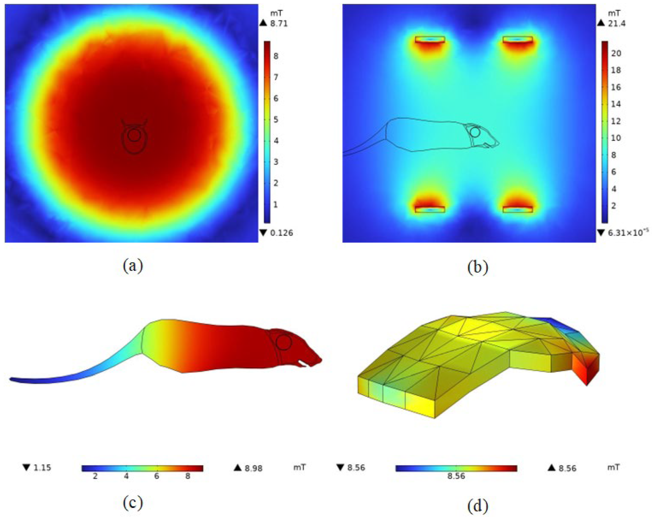 Bioengineering 11 00694 g005