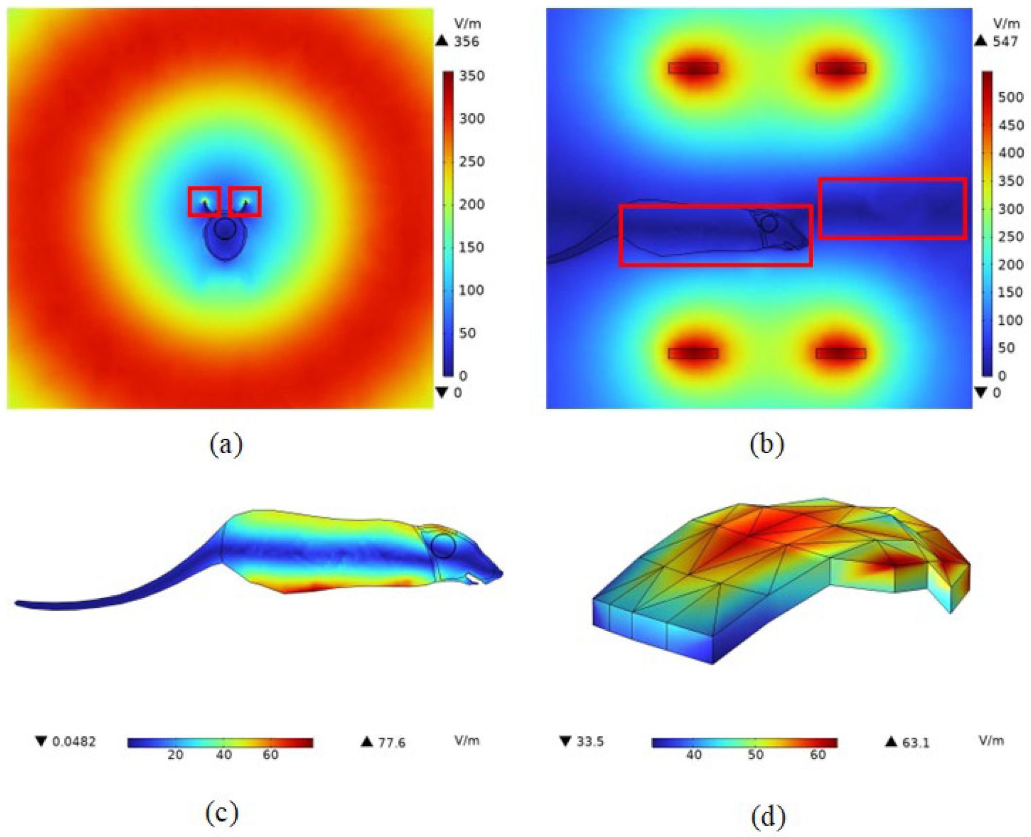 Bioengineering 11 00694 g006