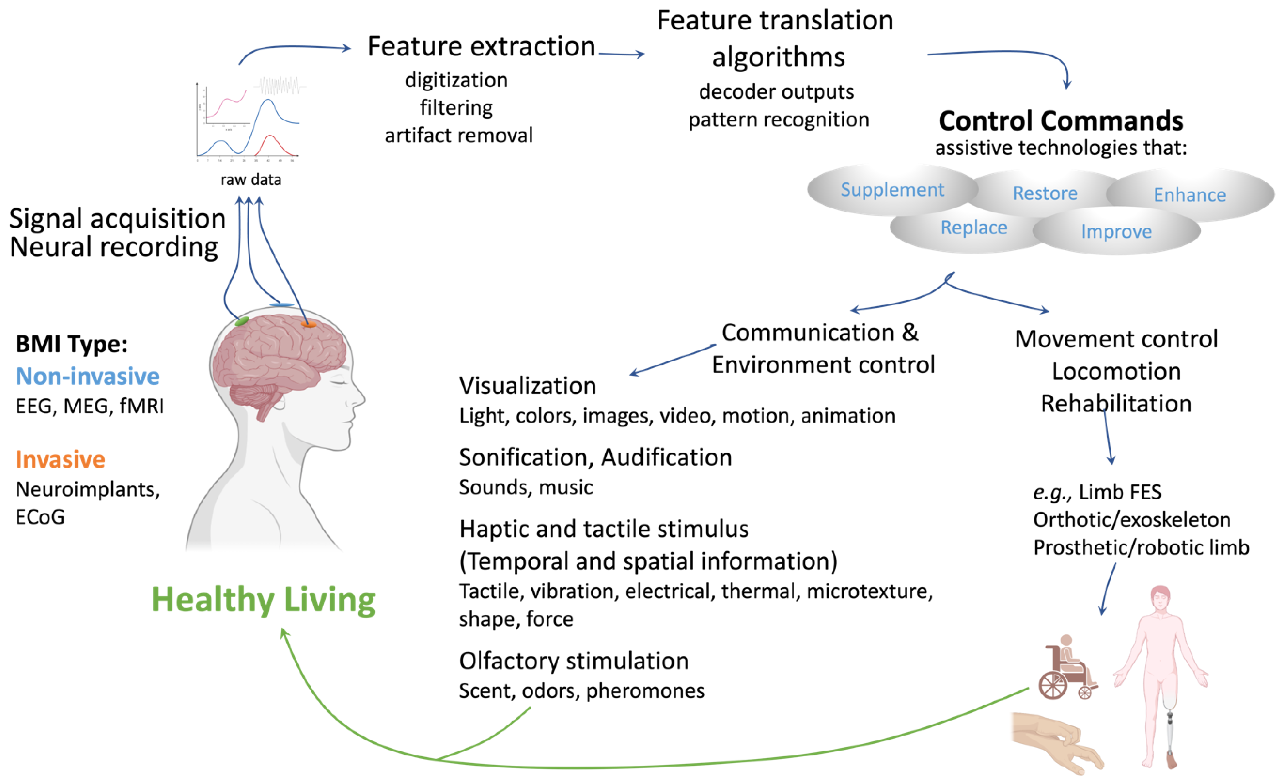 Bioengineering 11 00695 g001