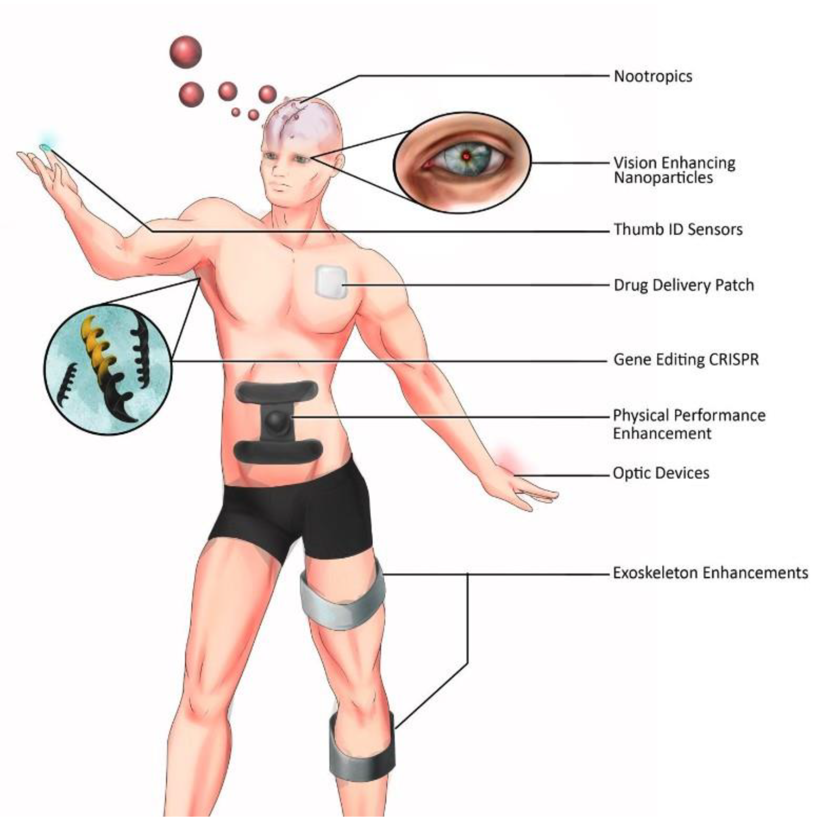 Bioengineering 11 00695 g004