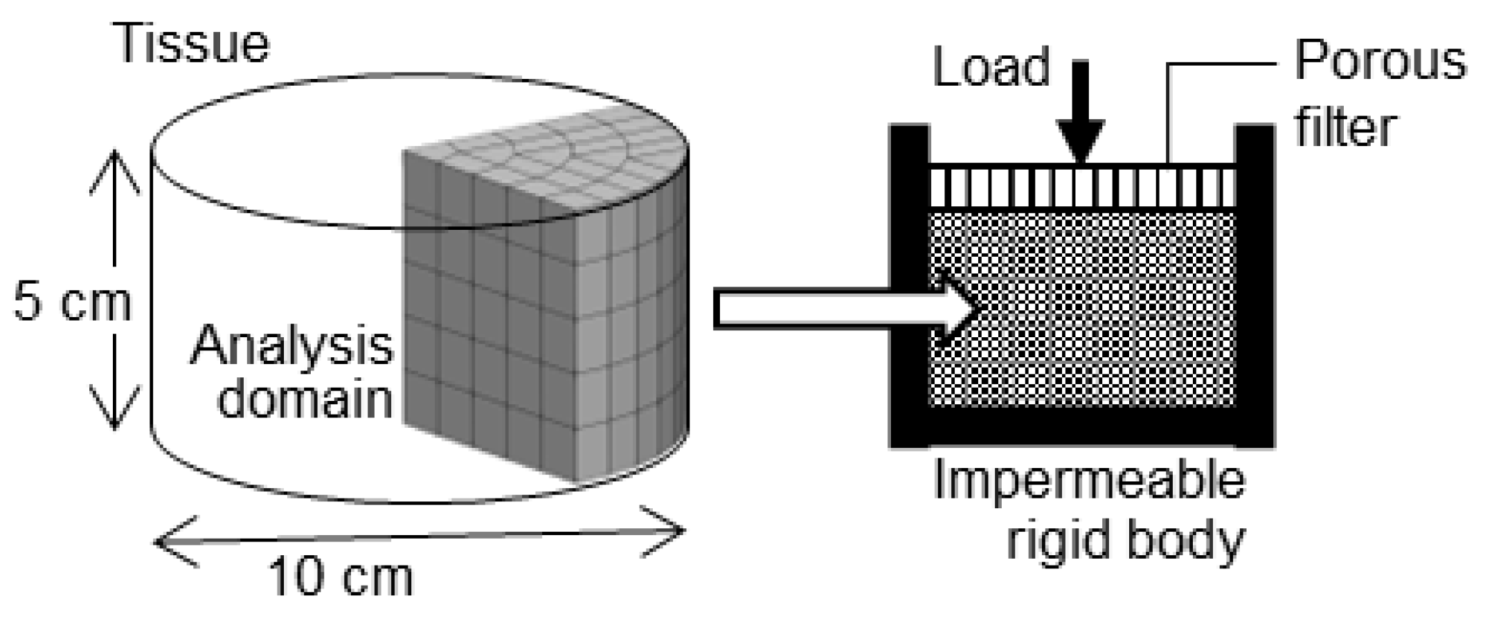 Bioengineering 11 00702 g003