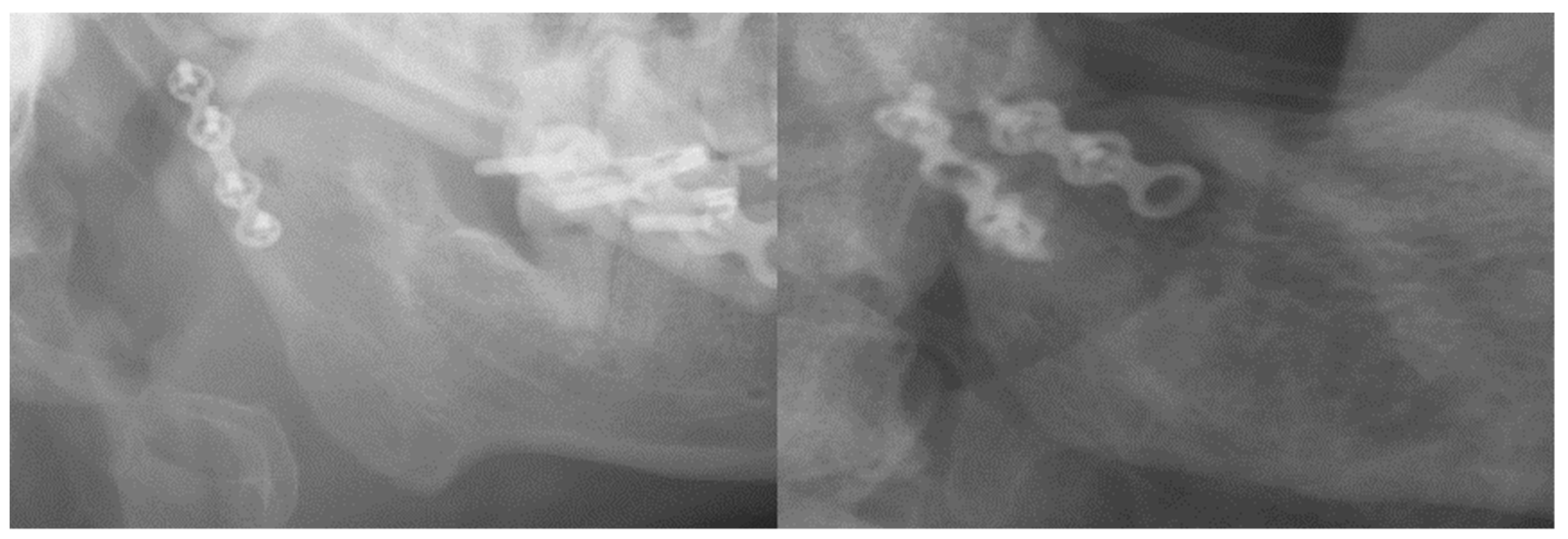 Bioengineering 11 00704 g001