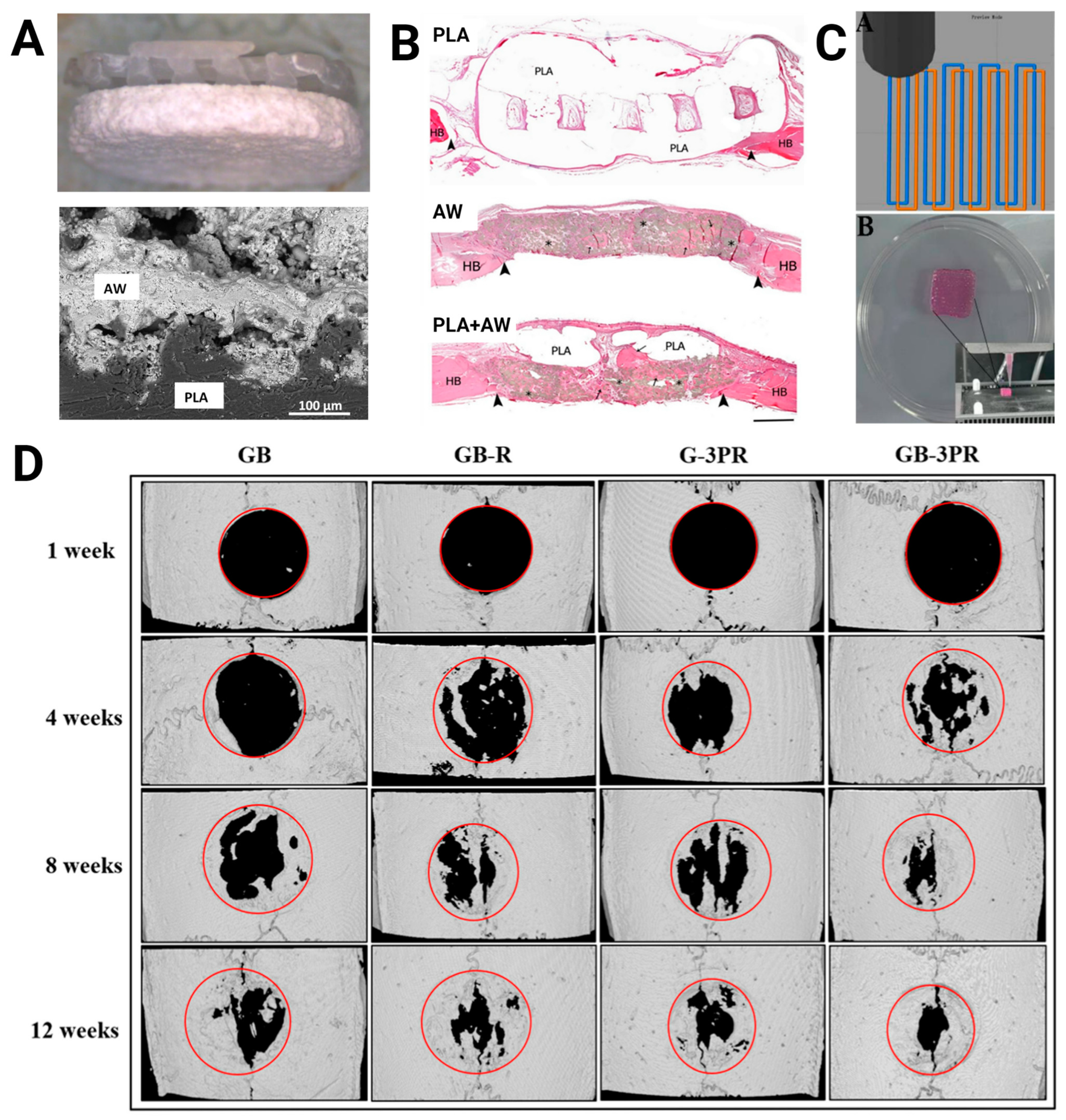 Bioengineering 11 00705 g002