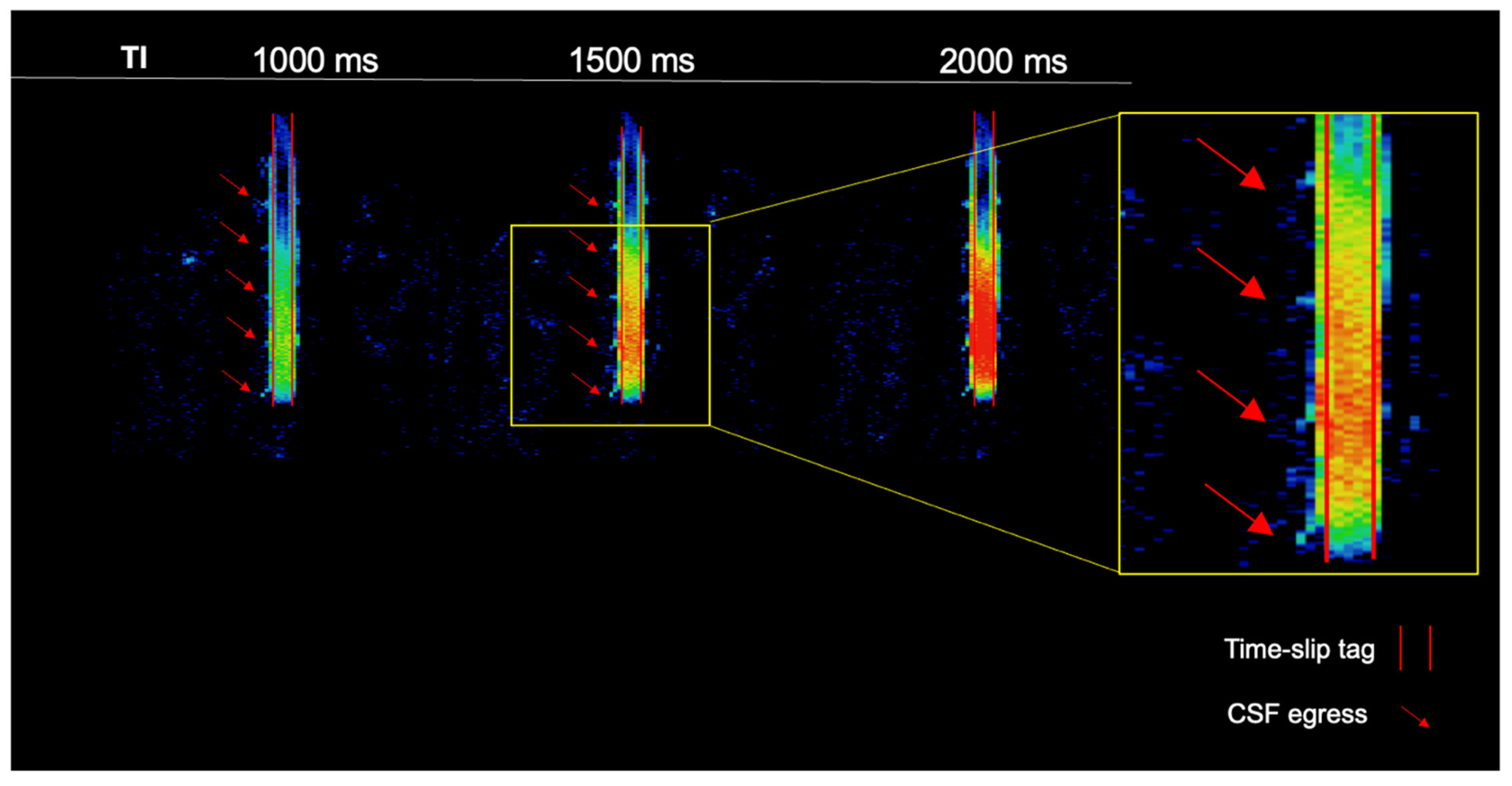 Bioengineering 11 00708 g002