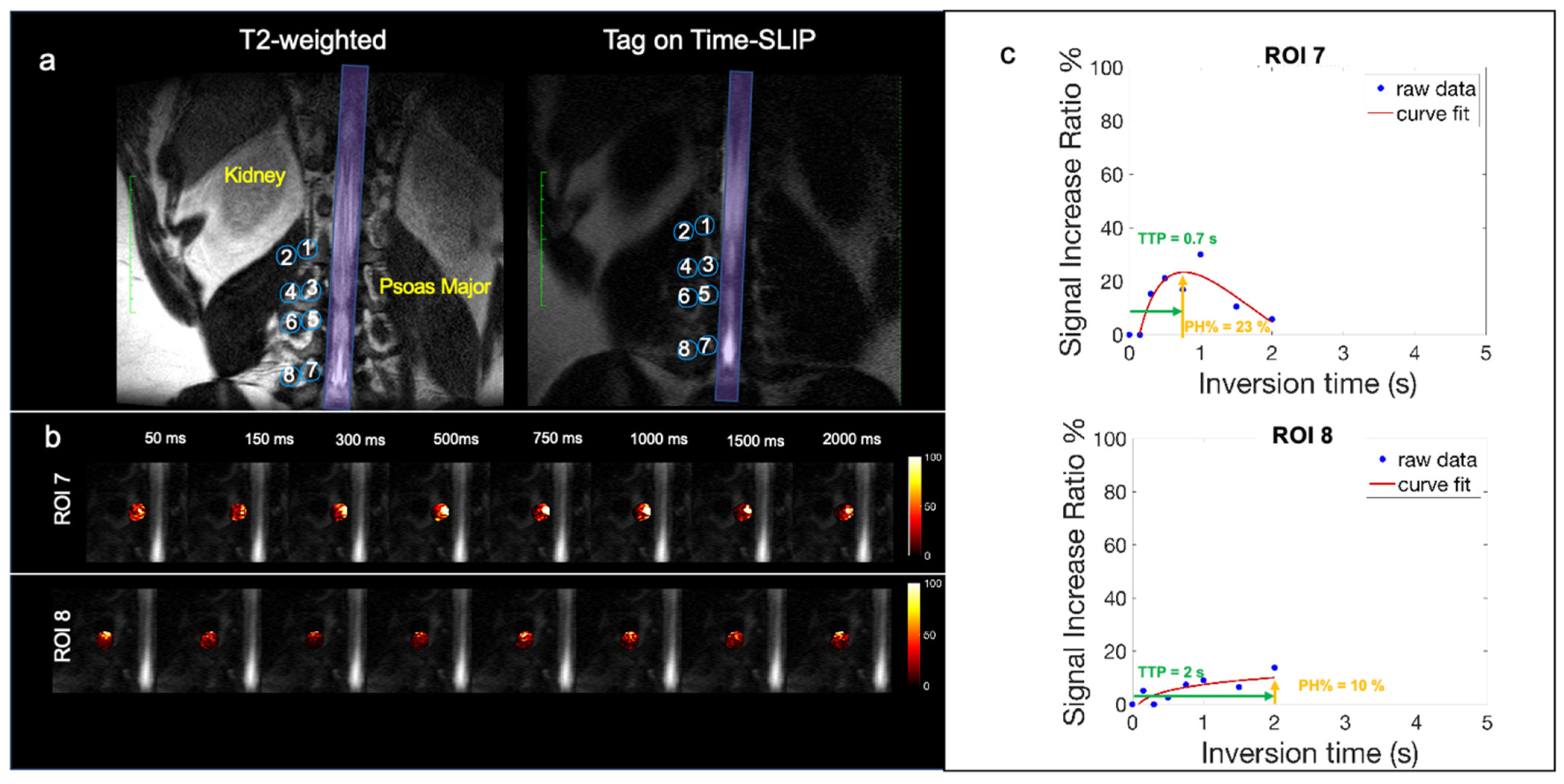 Bioengineering 11 00708 g004