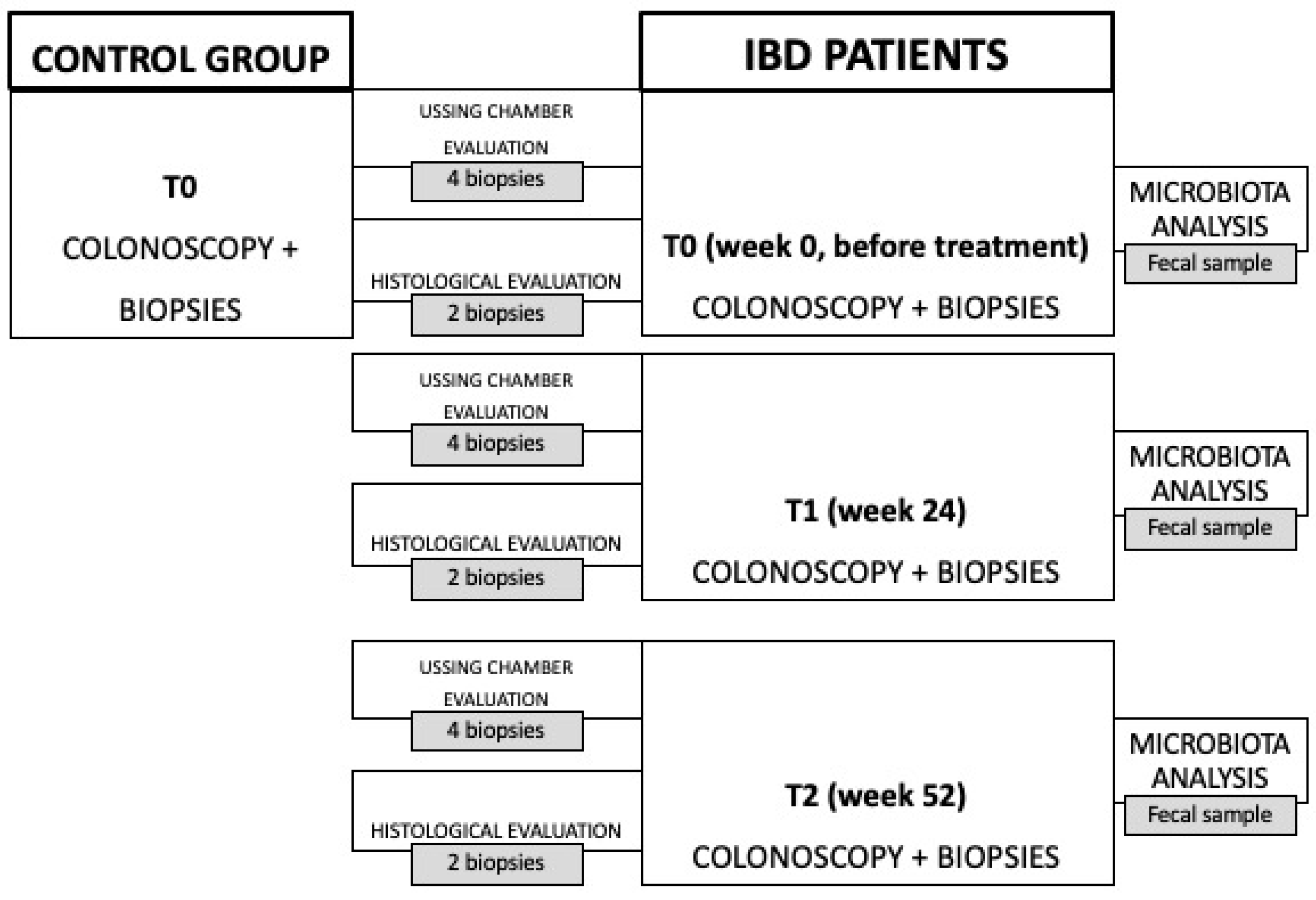 Bioengineering 11 00710 g001