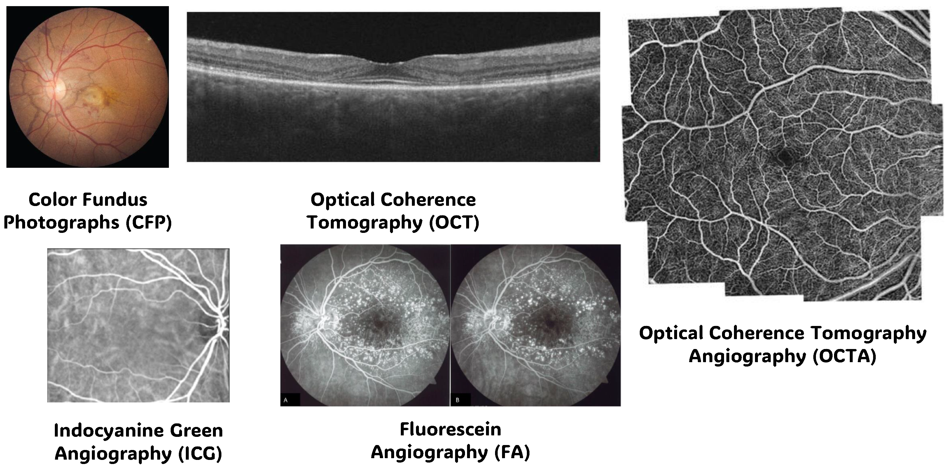 Bioengineering 11 00711 g002