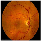 Bioengineering 11 00711 i002