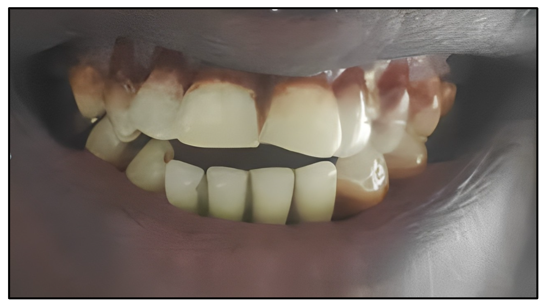 Bioengineering 11 00716 g002