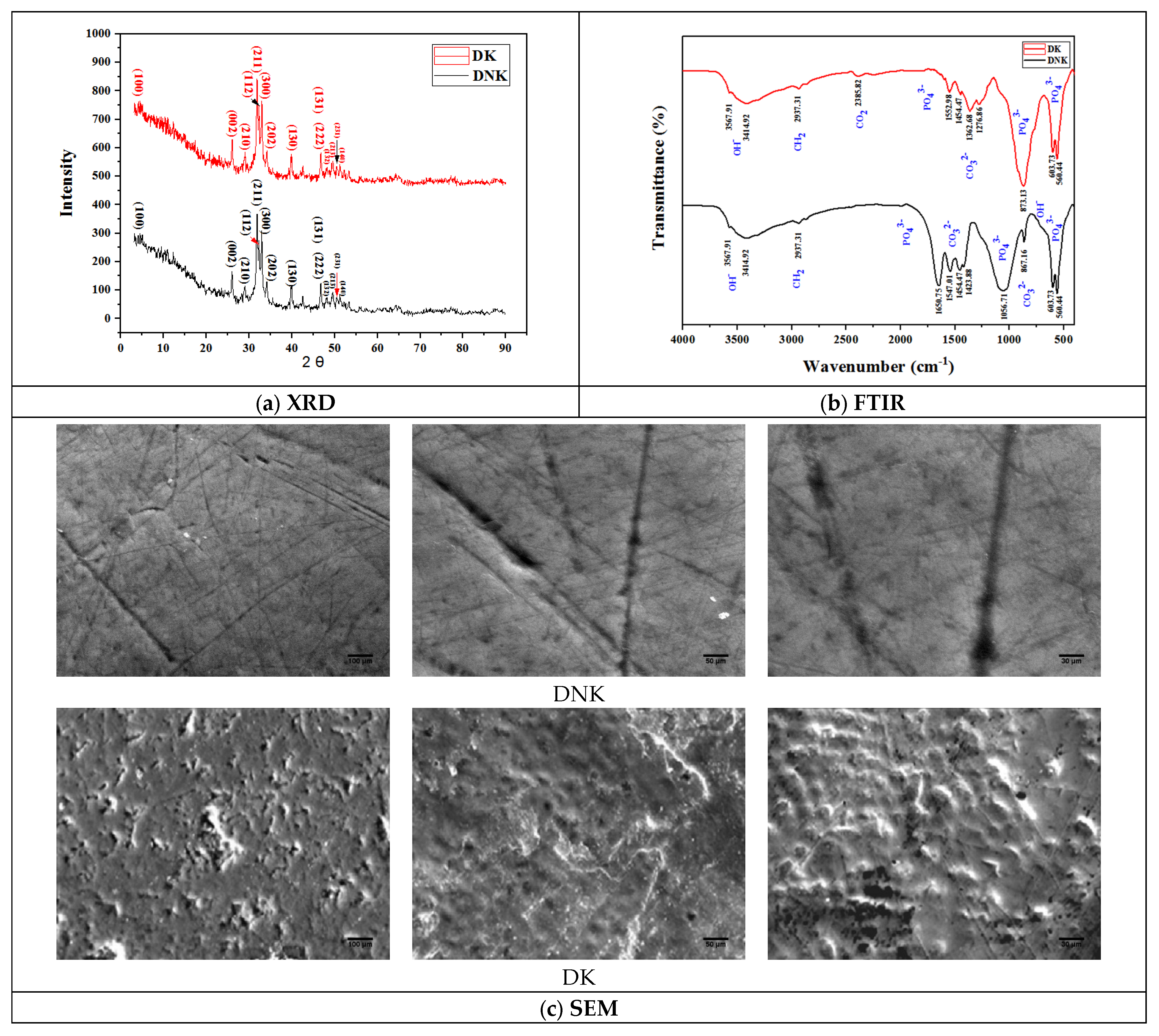 Bioengineering 11 00716 g004a