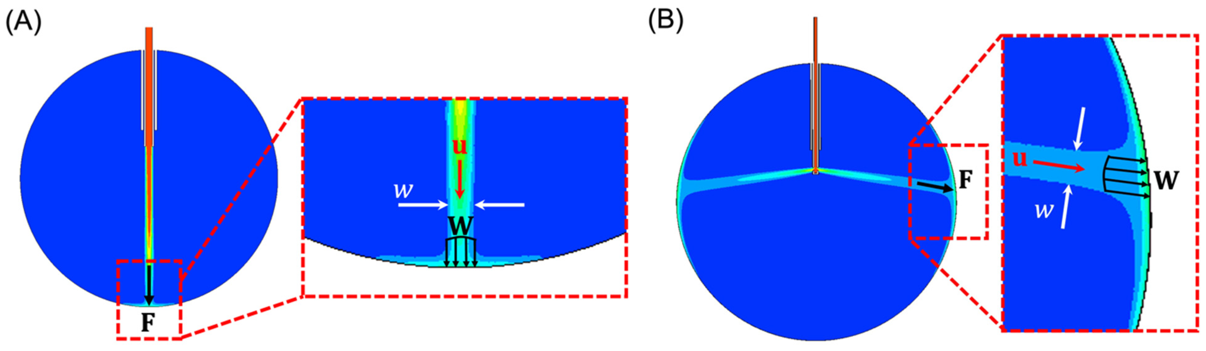 Bioengineering 11 00718 g001