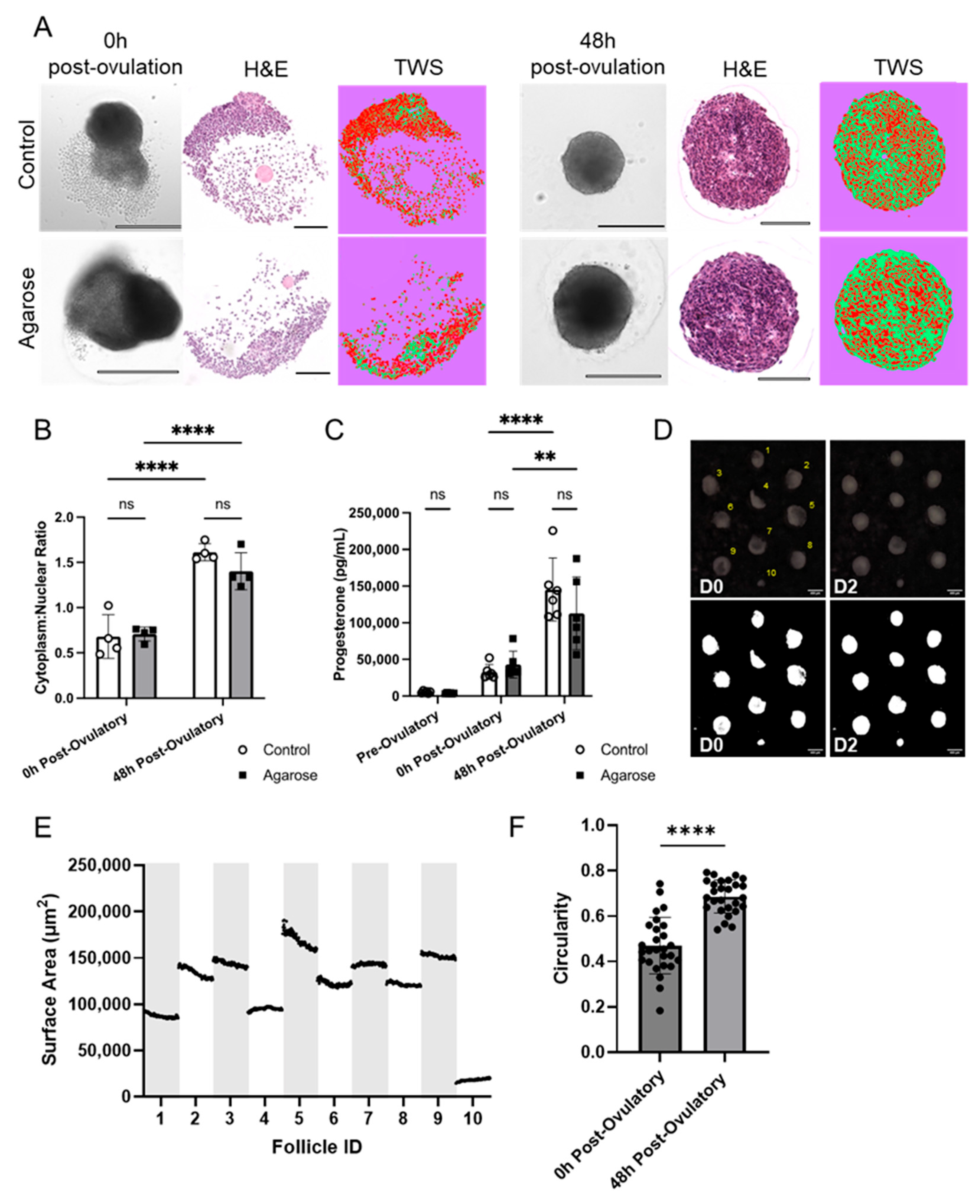 Bioengineering 11 00719 g005 Bioengineering 11 00719 g005