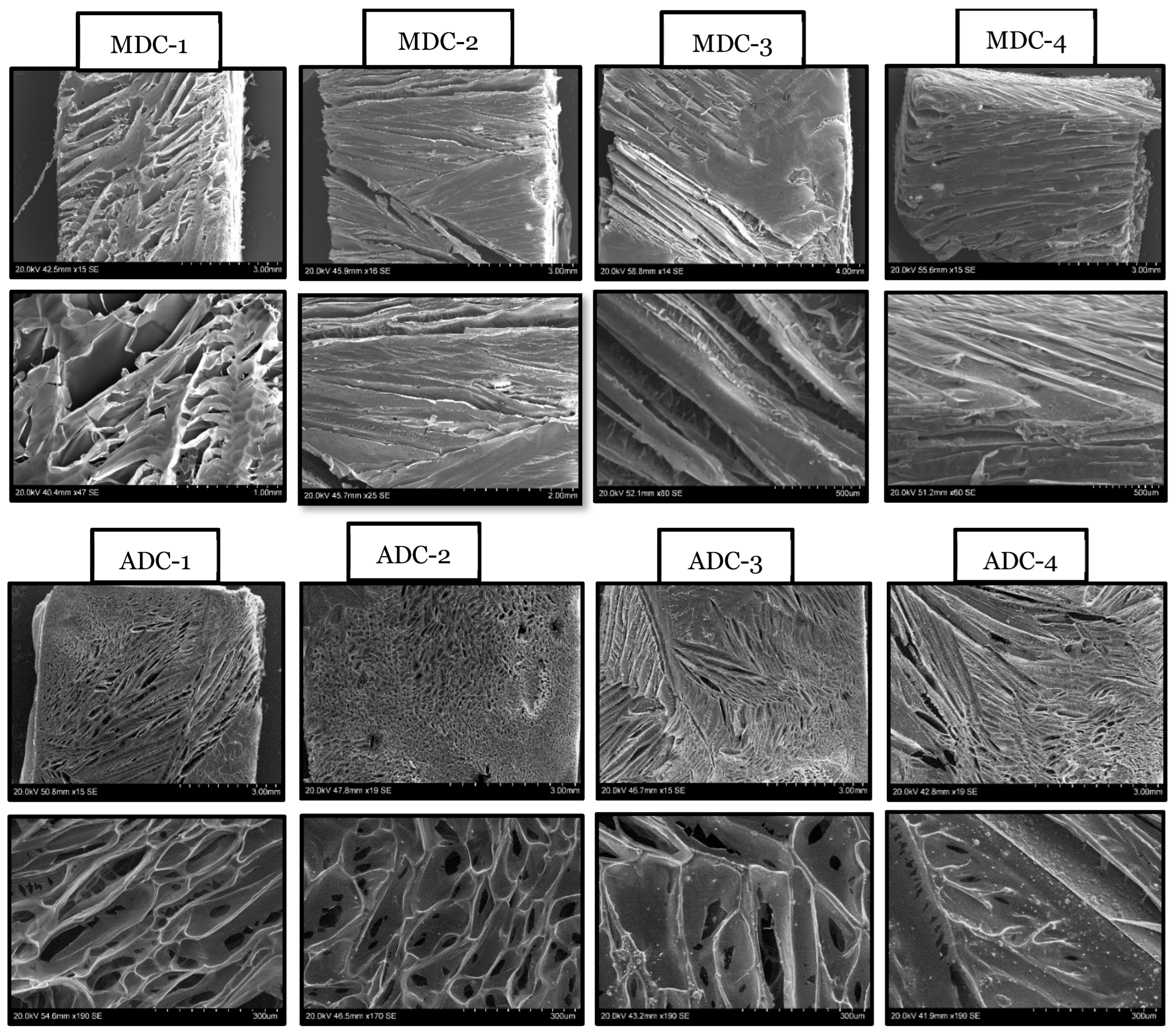 Bioengineering 11 00720 g003