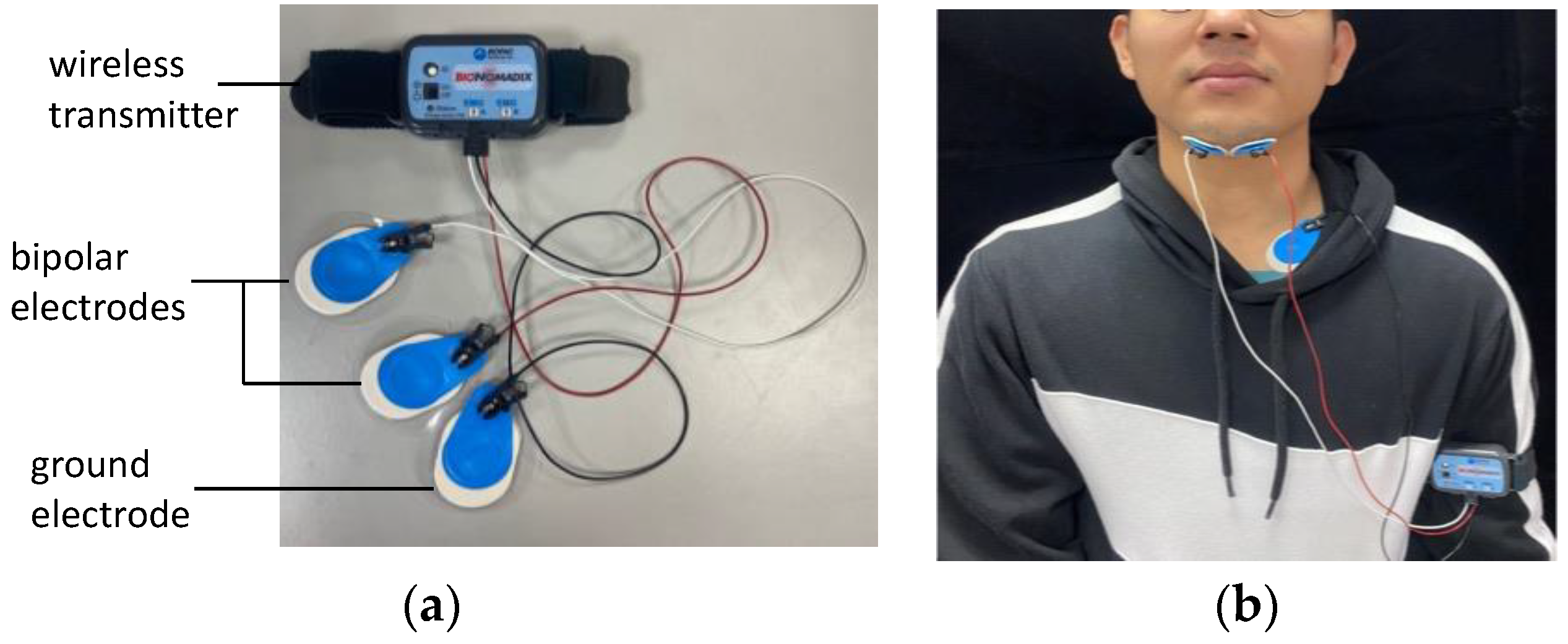 Bioengineering 11 00721 g002