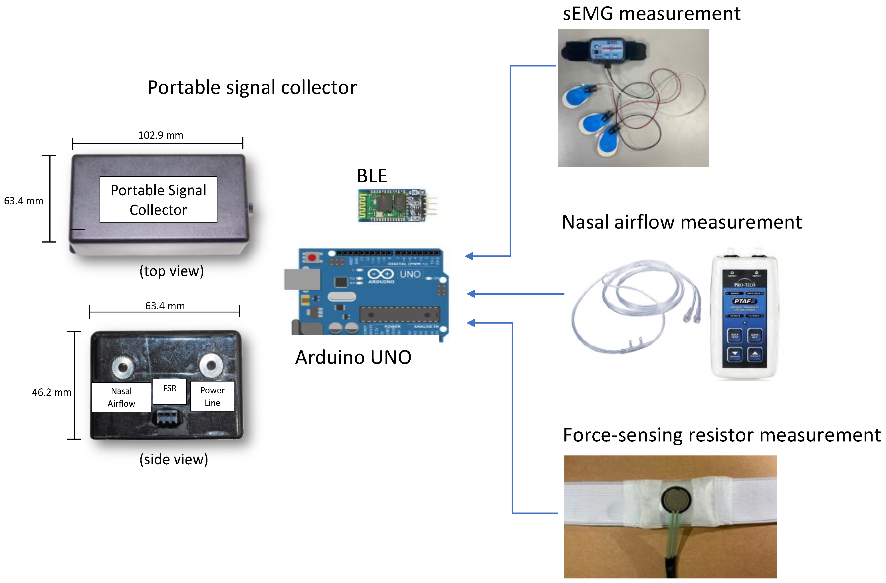 Bioengineering 11 00721 g005