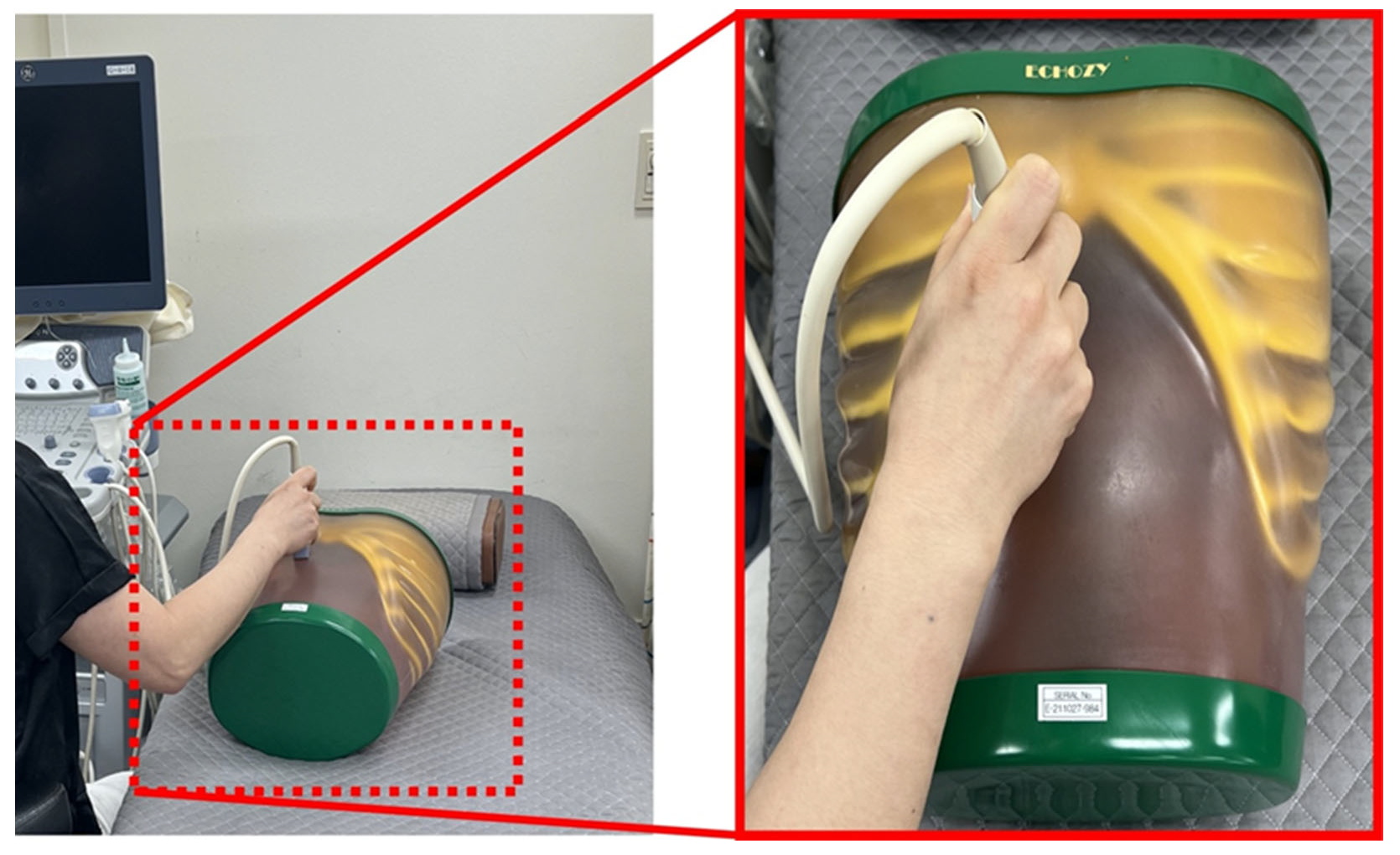 Bioengineering 11 00723 g001
