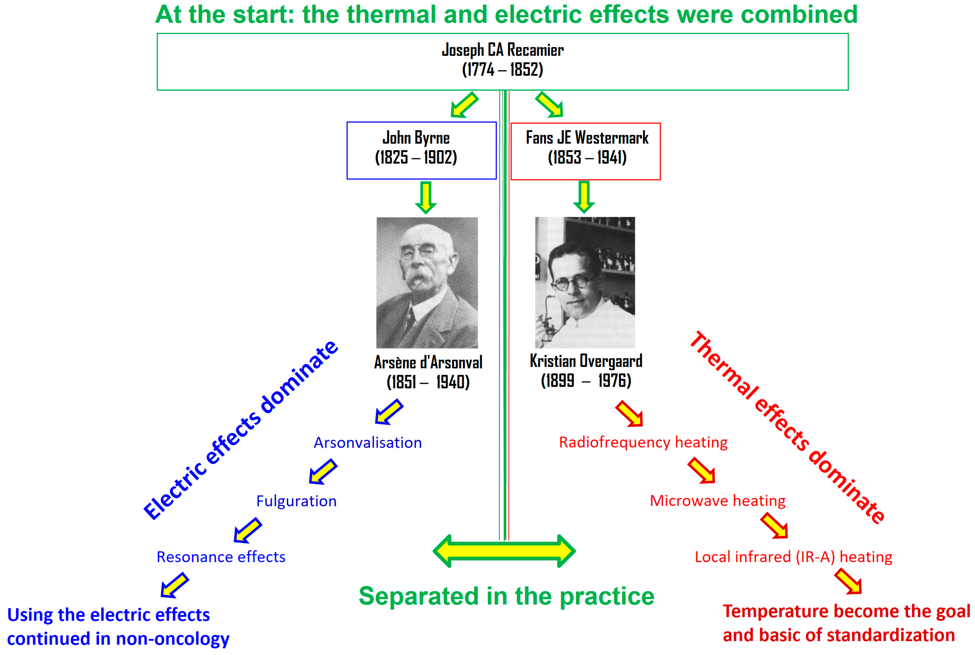 Bioengineering 11 00725 g001