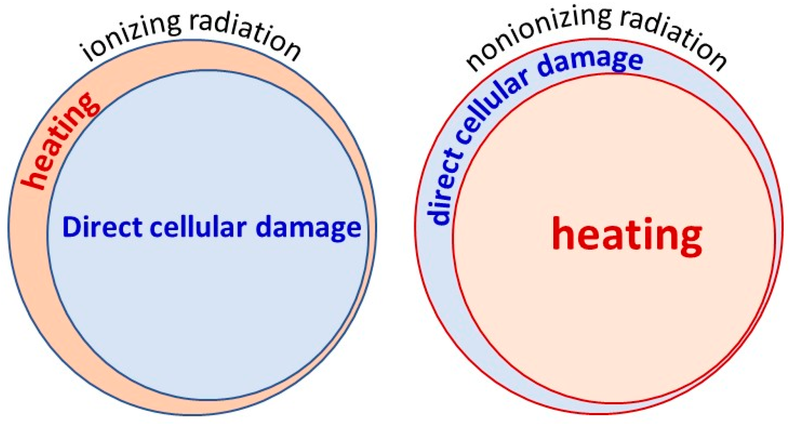 Bioengineering 11 00725 g003