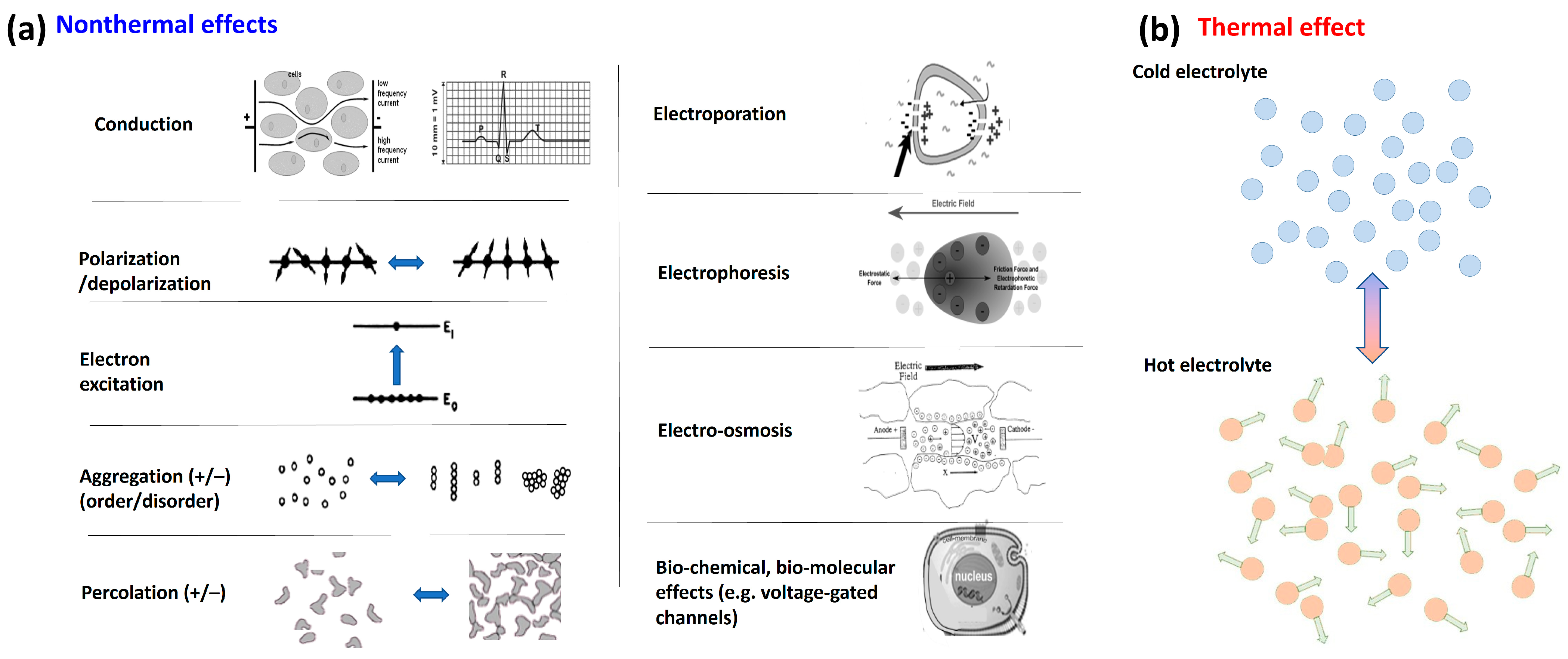 Bioengineering 11 00725 g006