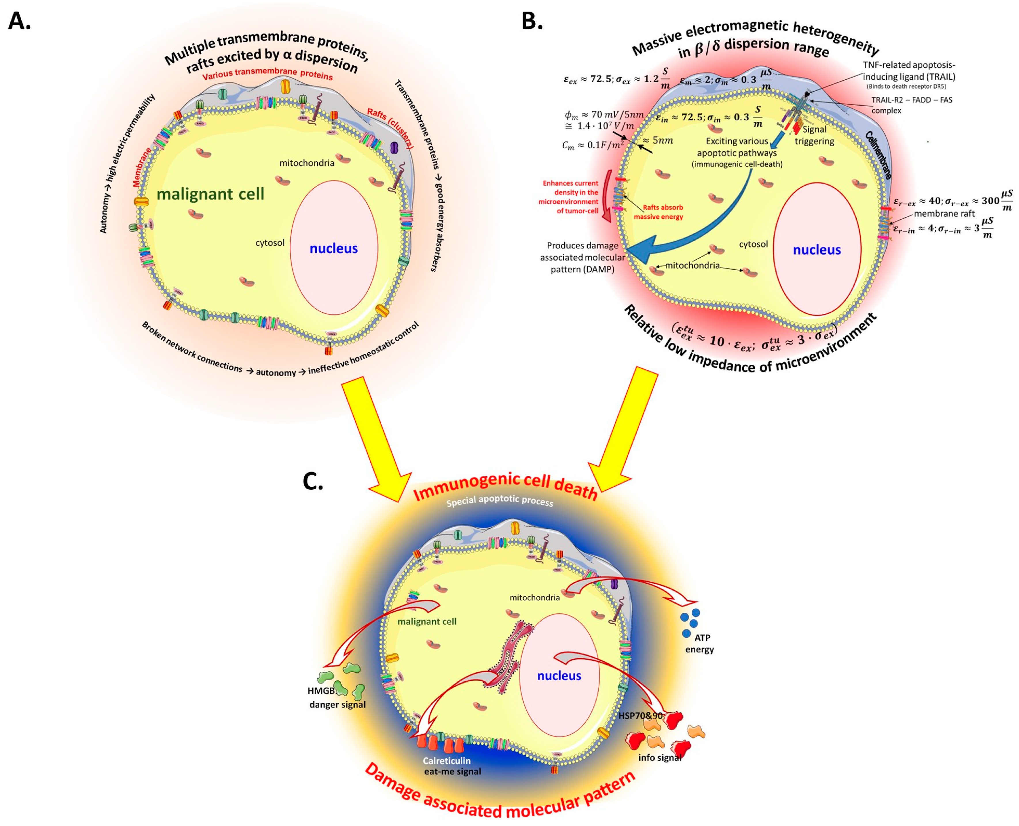 Bioengineering 11 00725 g008