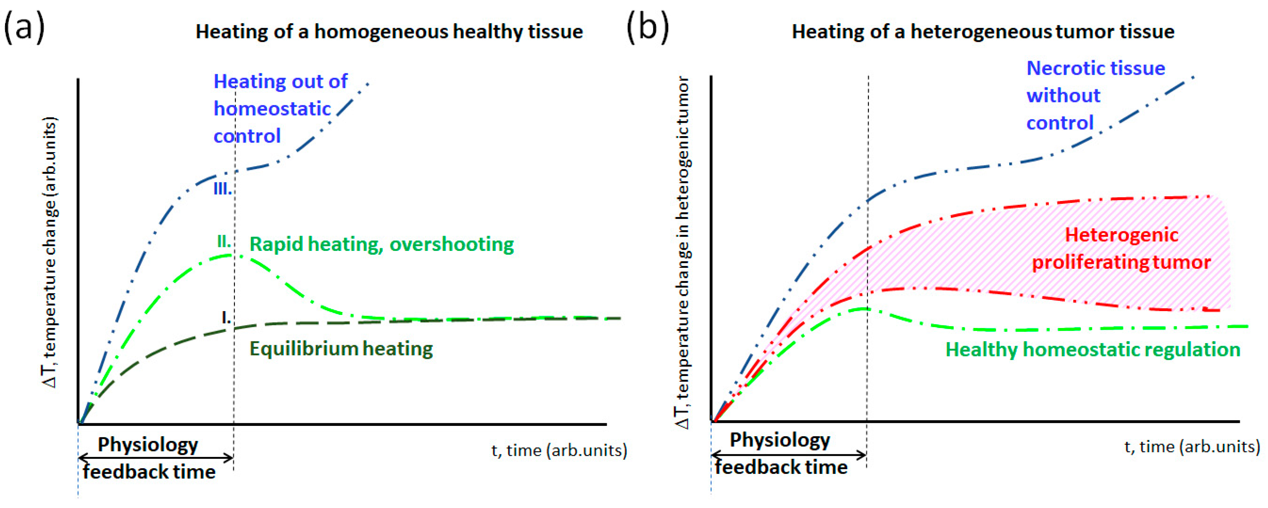 Bioengineering 11 00725 g011