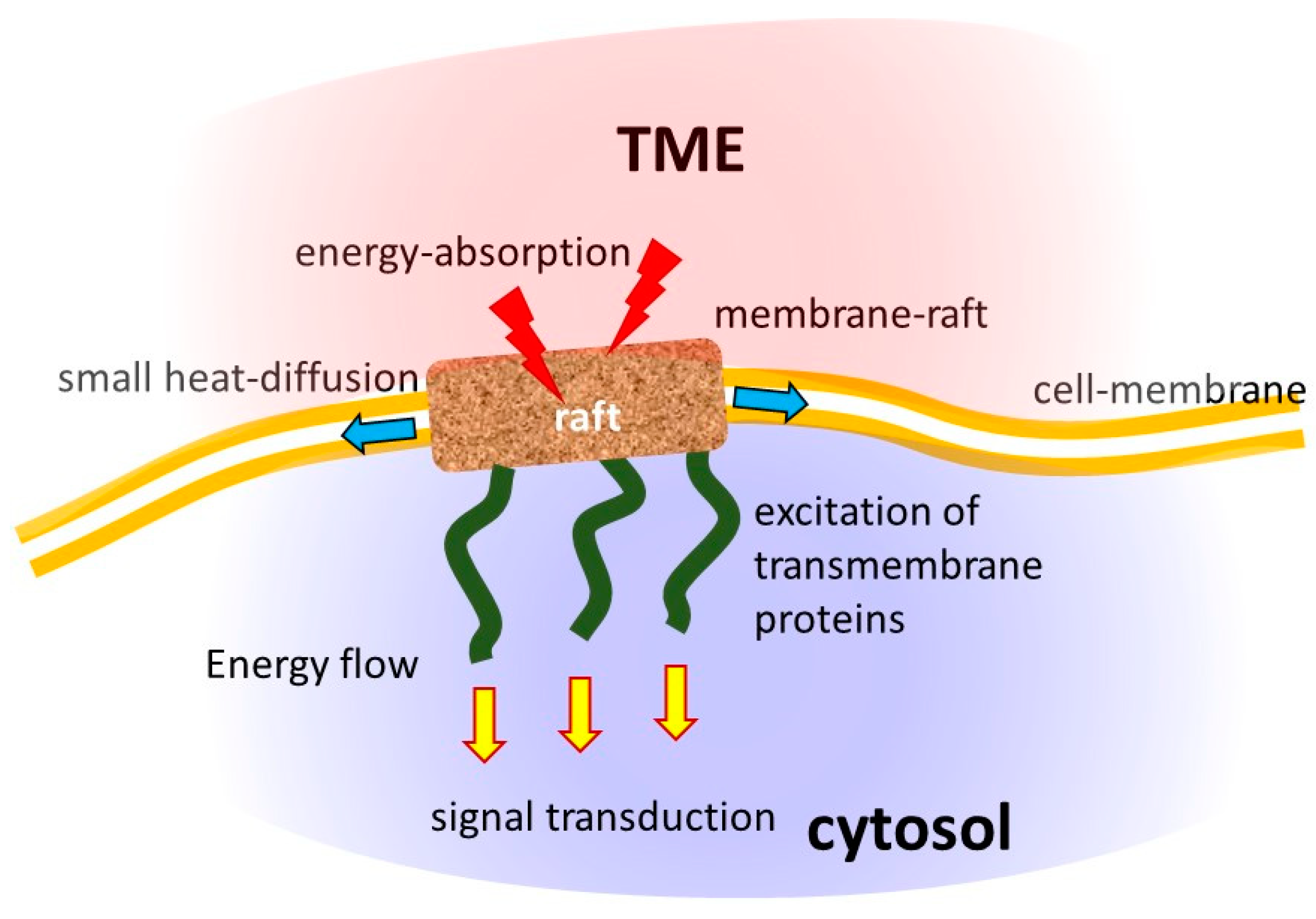 Bioengineering 11 00725 g013