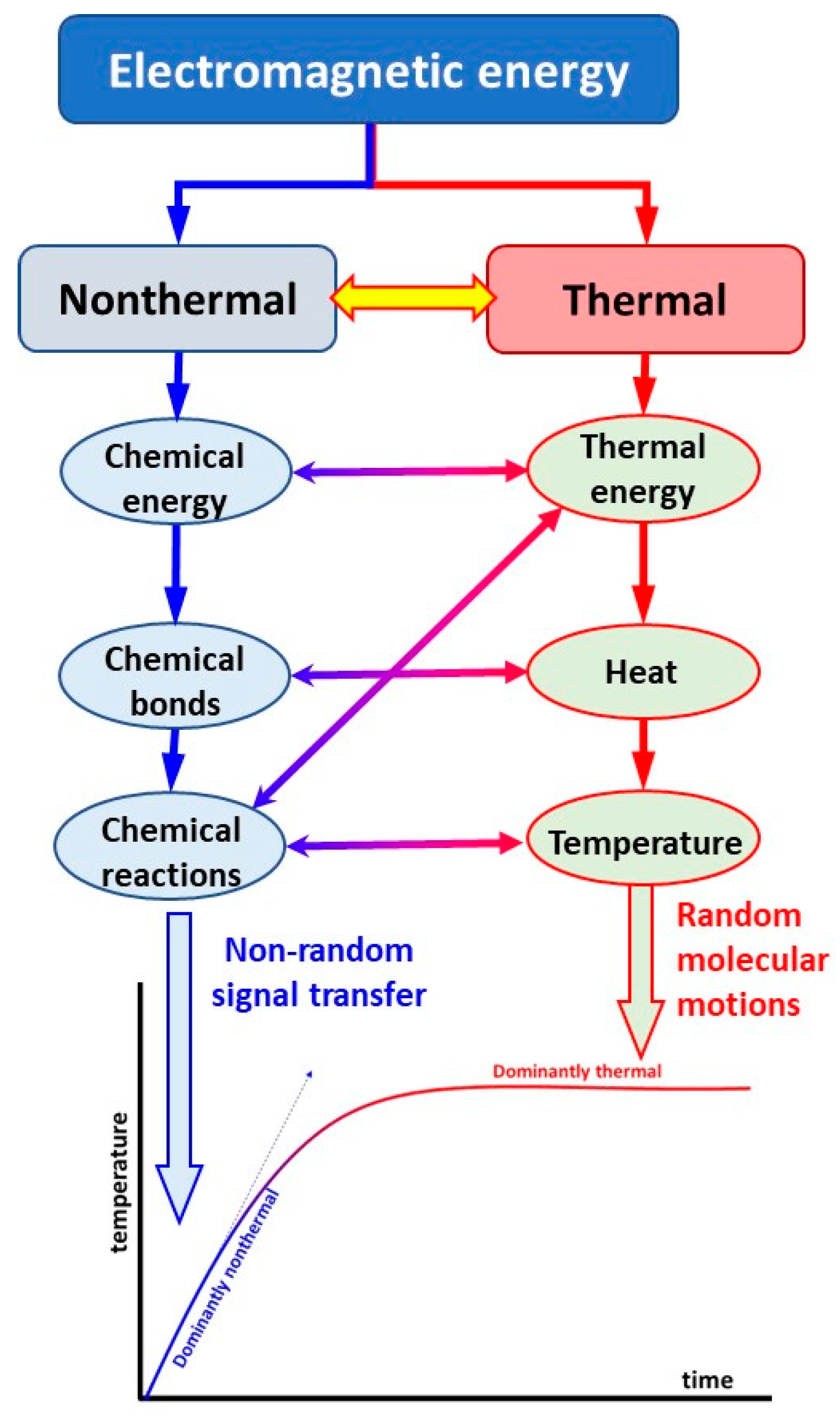 Bioengineering 11 00725 g015